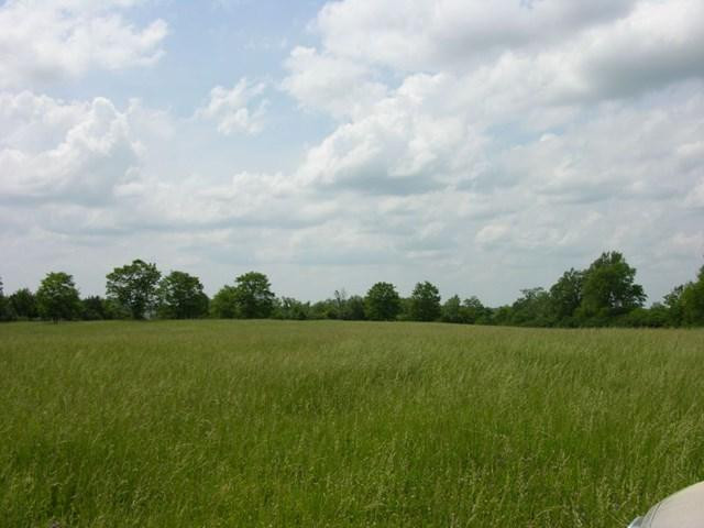6559 Combs Ferry Road Winchester, KY 40391 - Photo 10 of 22 Listing Photo