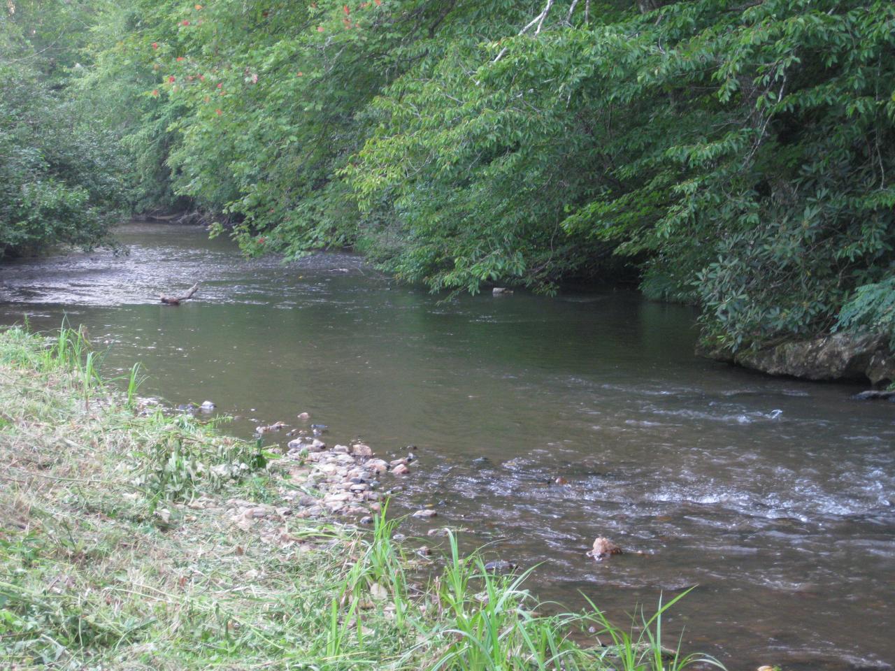 4198 Dugspur Road Willis, VA 24380 - Photo 1 of 6 Burks Fork