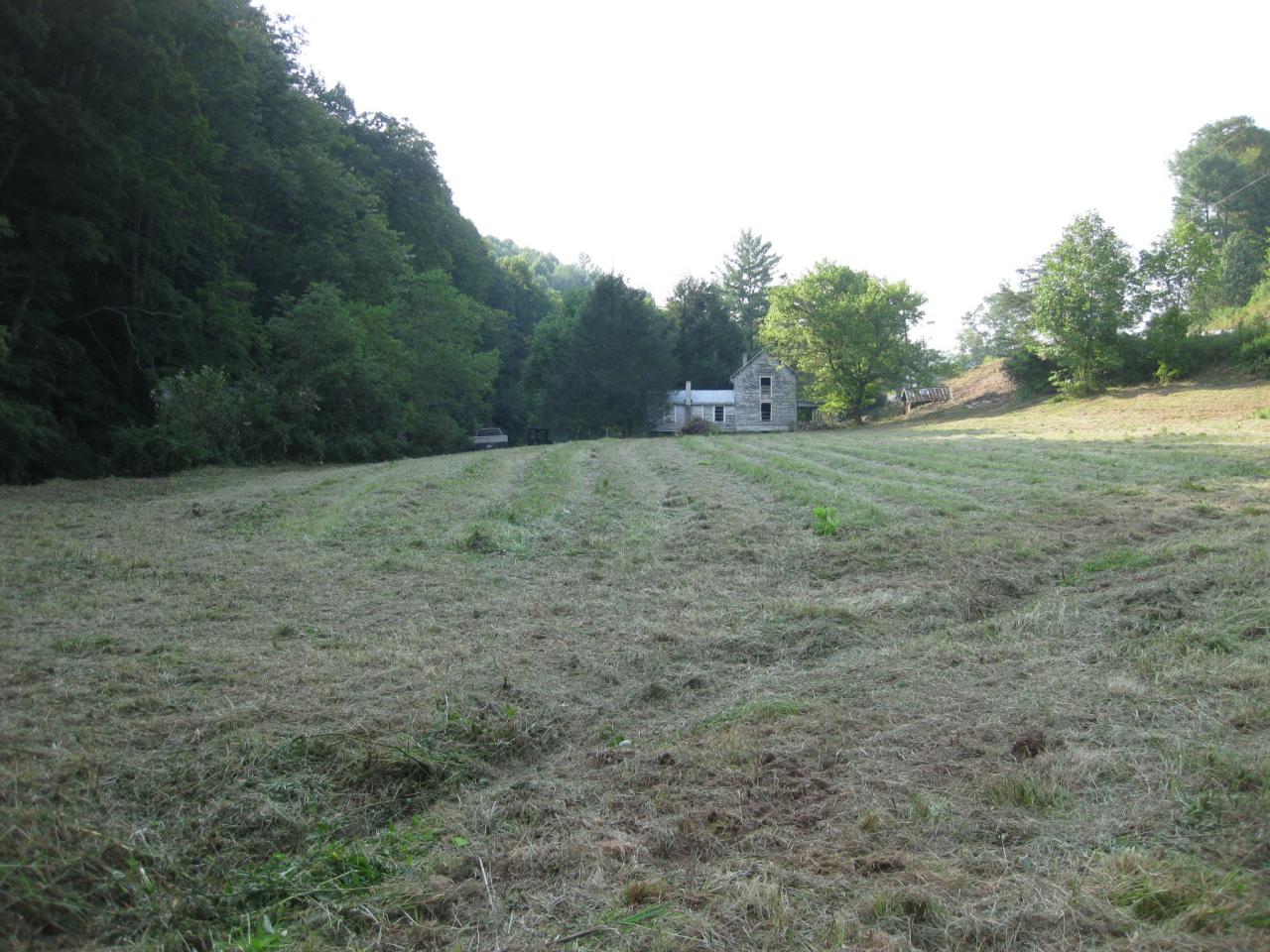 4198 Dugspur Road Willis, VA 24380 - Photo 3 of 6 View of field