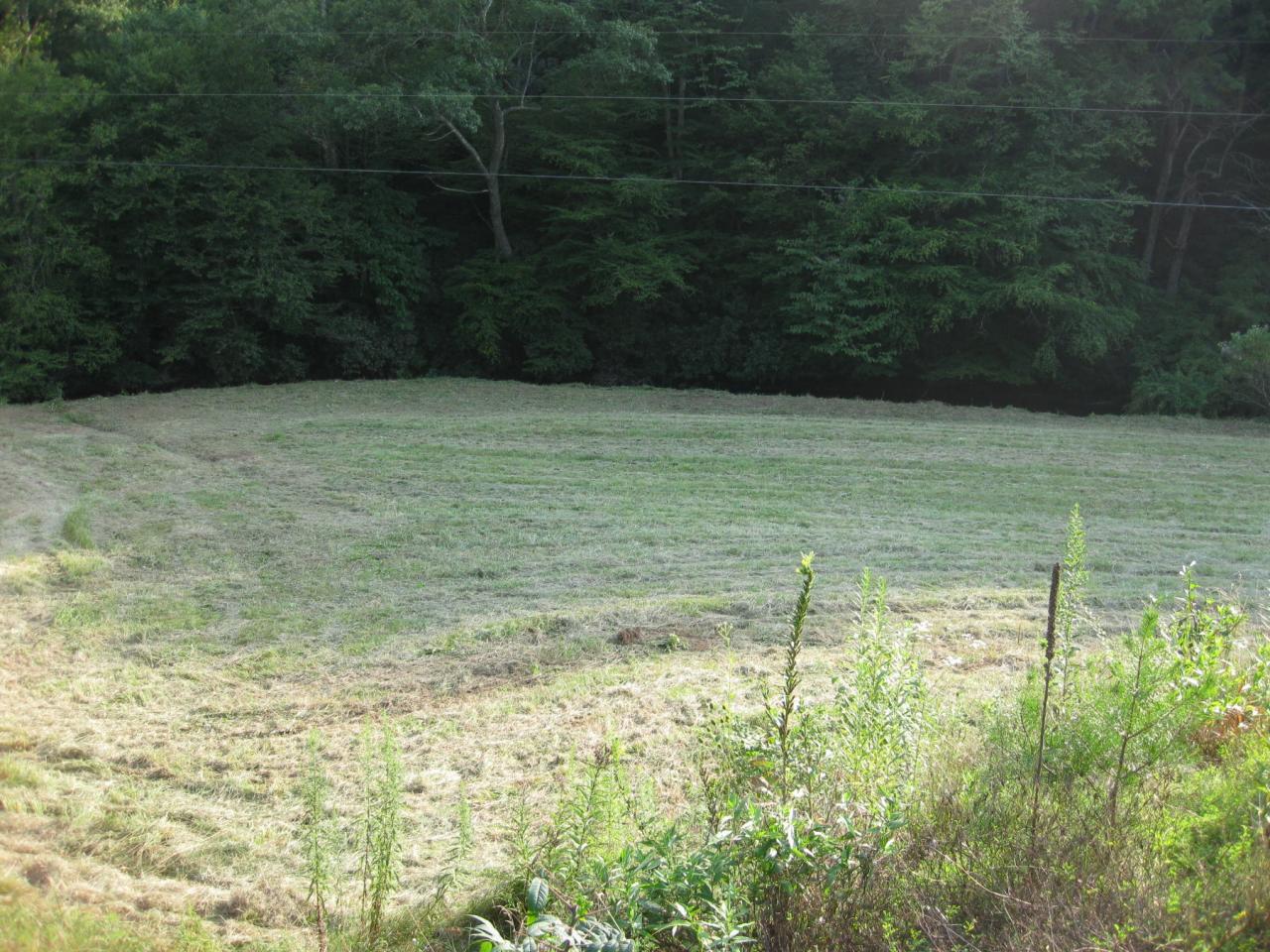 4198 Dugspur Road Willis, VA 24380 - Photo 4 of 6 Field/pasture by Burks Fork
