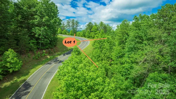 a view of a street sign under a large tree