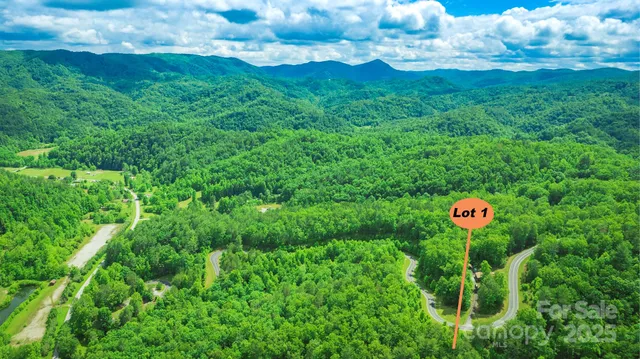 a view of a flower in a garden