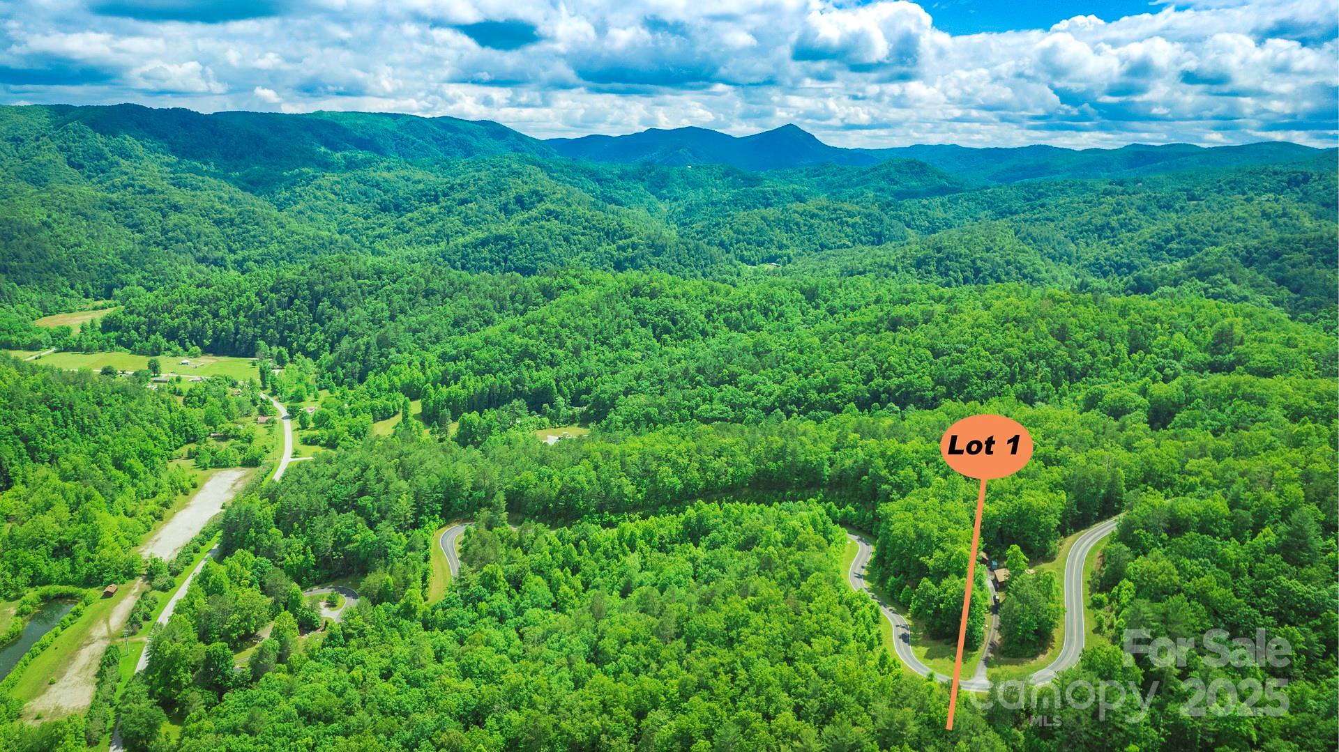 Lot 1 Reynolds Parkway Ferguson, NC 28624 - Photo 3 of 13 a view of a flower in a garden