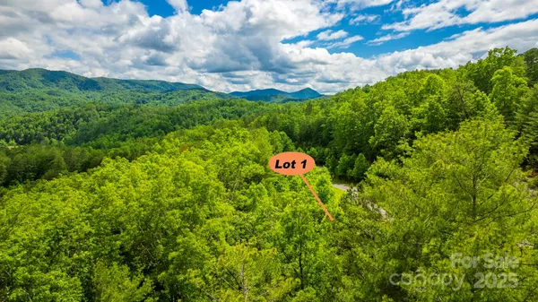 a view of a tree with a yard