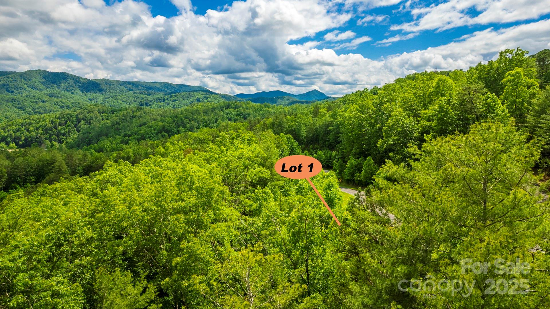 Lot 1 Reynolds Parkway Ferguson, NC 28624 - Photo 4 of 13 a view of a tree with a yard