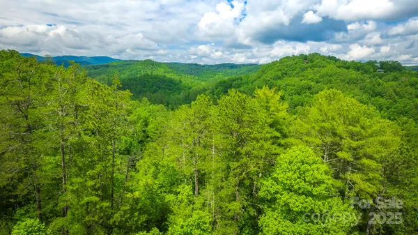 a view of a big yard with plants and a garden