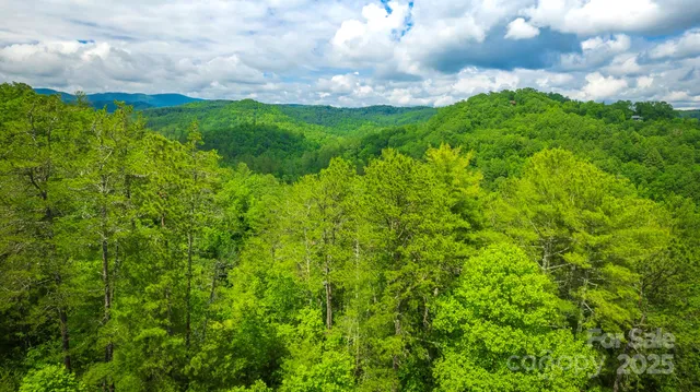 a view of a big yard with plants and a garden