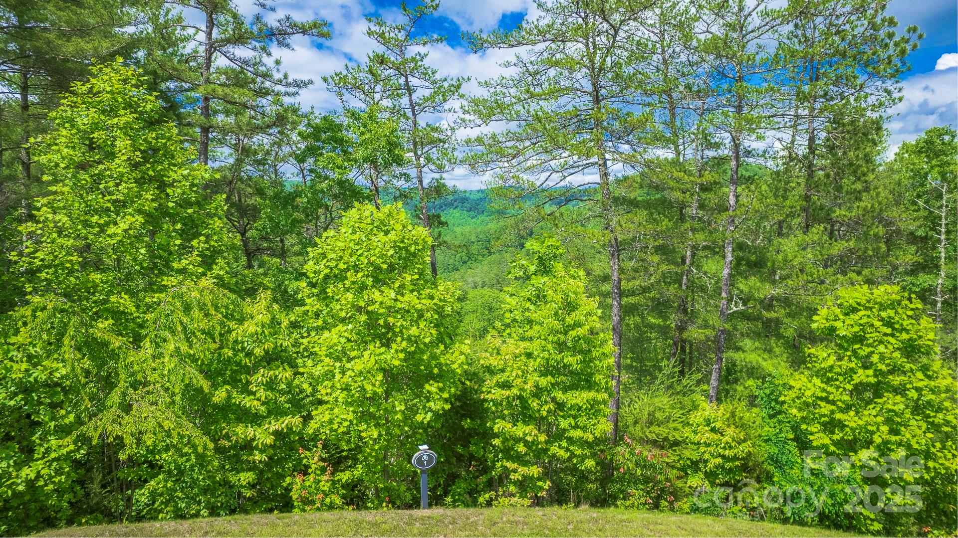 Lot 1 Reynolds Parkway Ferguson, NC 28624 - Photo 7 of 13 a view of a lush green forest