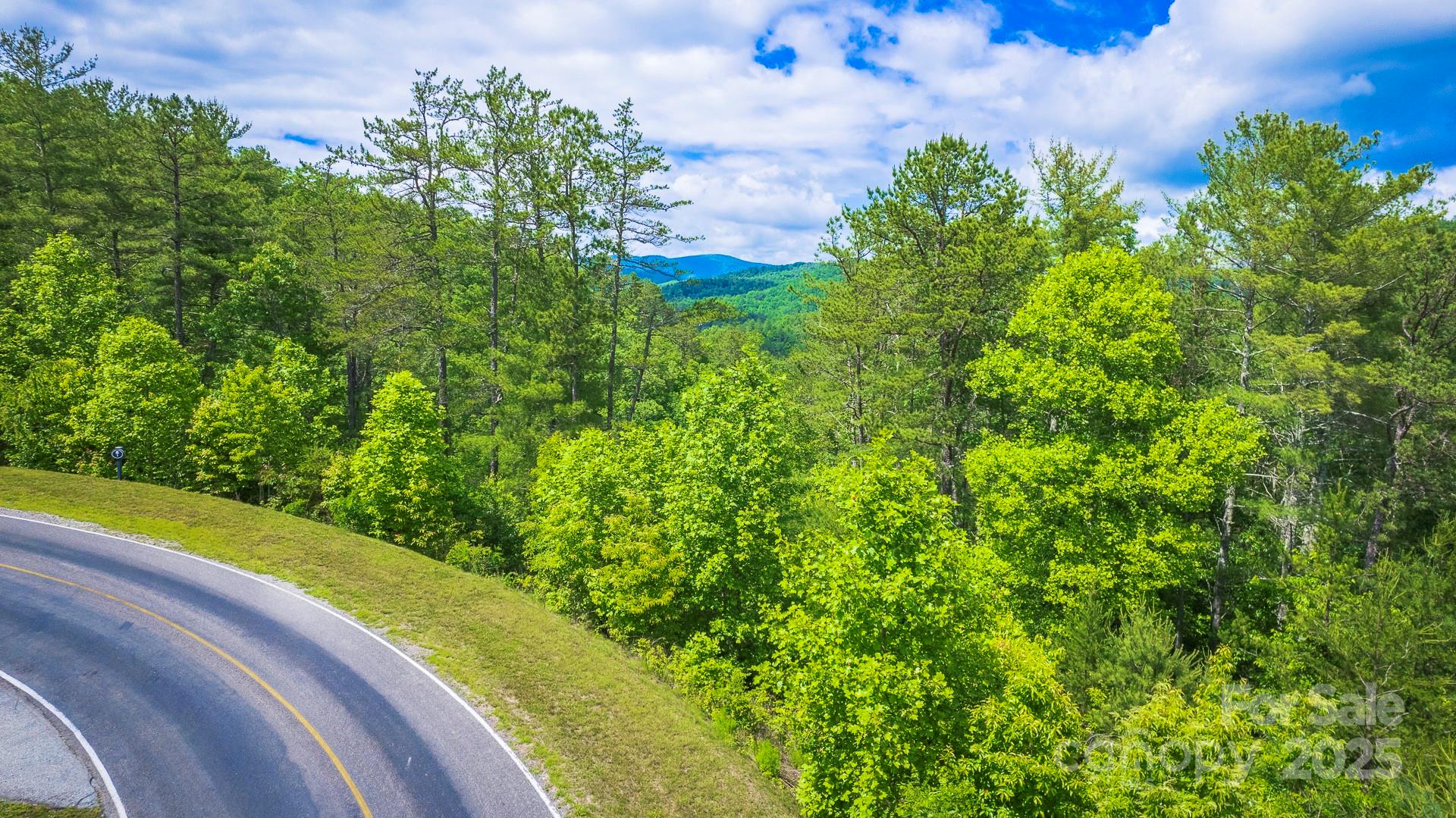 Lot 1 Reynolds Parkway Ferguson, NC 28624 - Photo 8 of 13 a view of a yard with plants