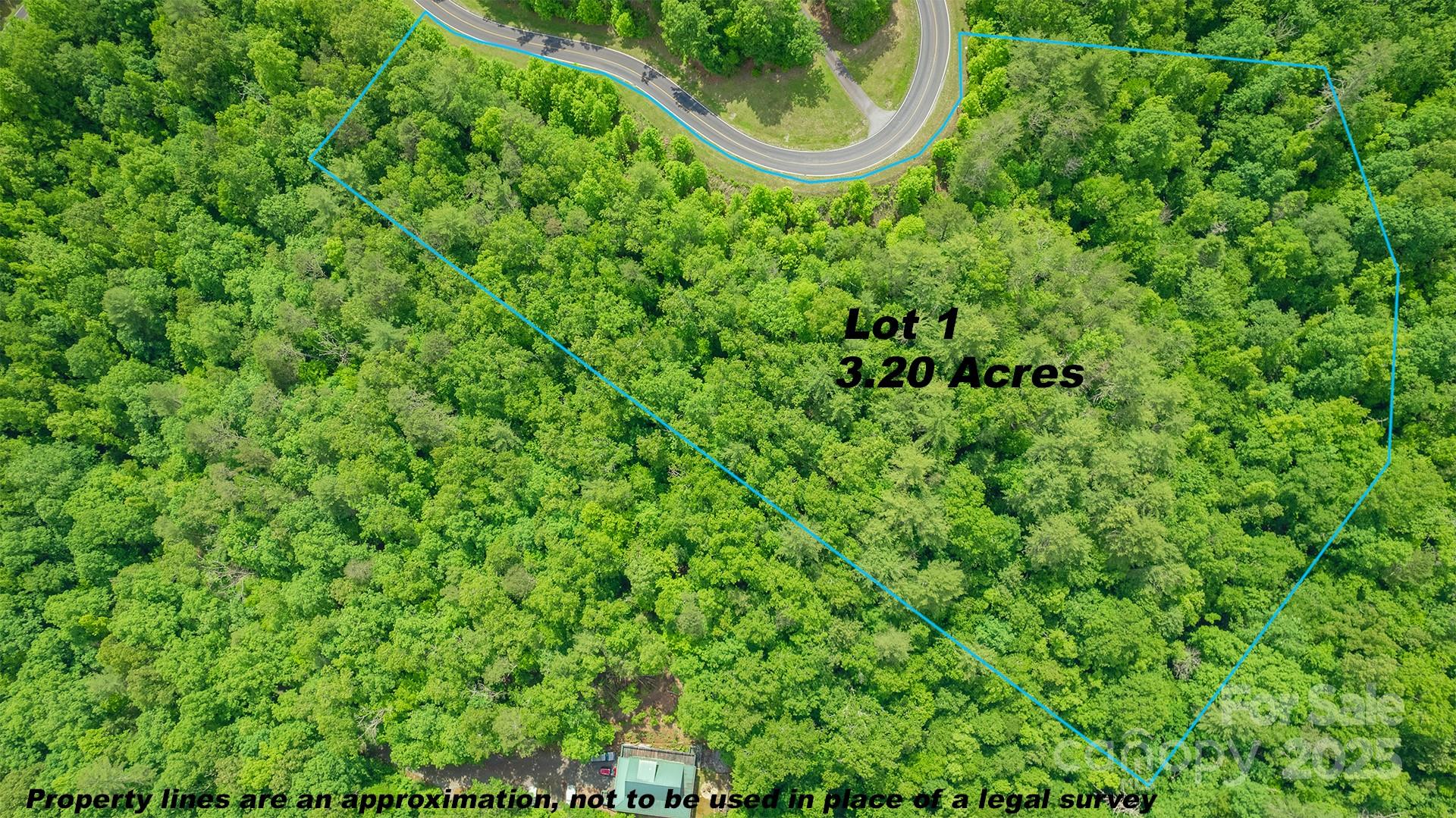 Lot 1 Reynolds Parkway Ferguson, NC 28624 - Photo 9 of 13 a bird view of a forest