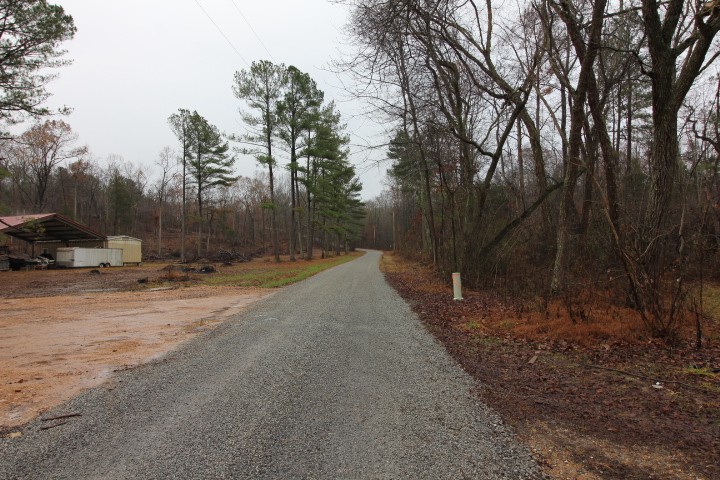 375 Ratteree Road Buchanan, TN 38222 - Photo 4 of 34 Gallery Image 4