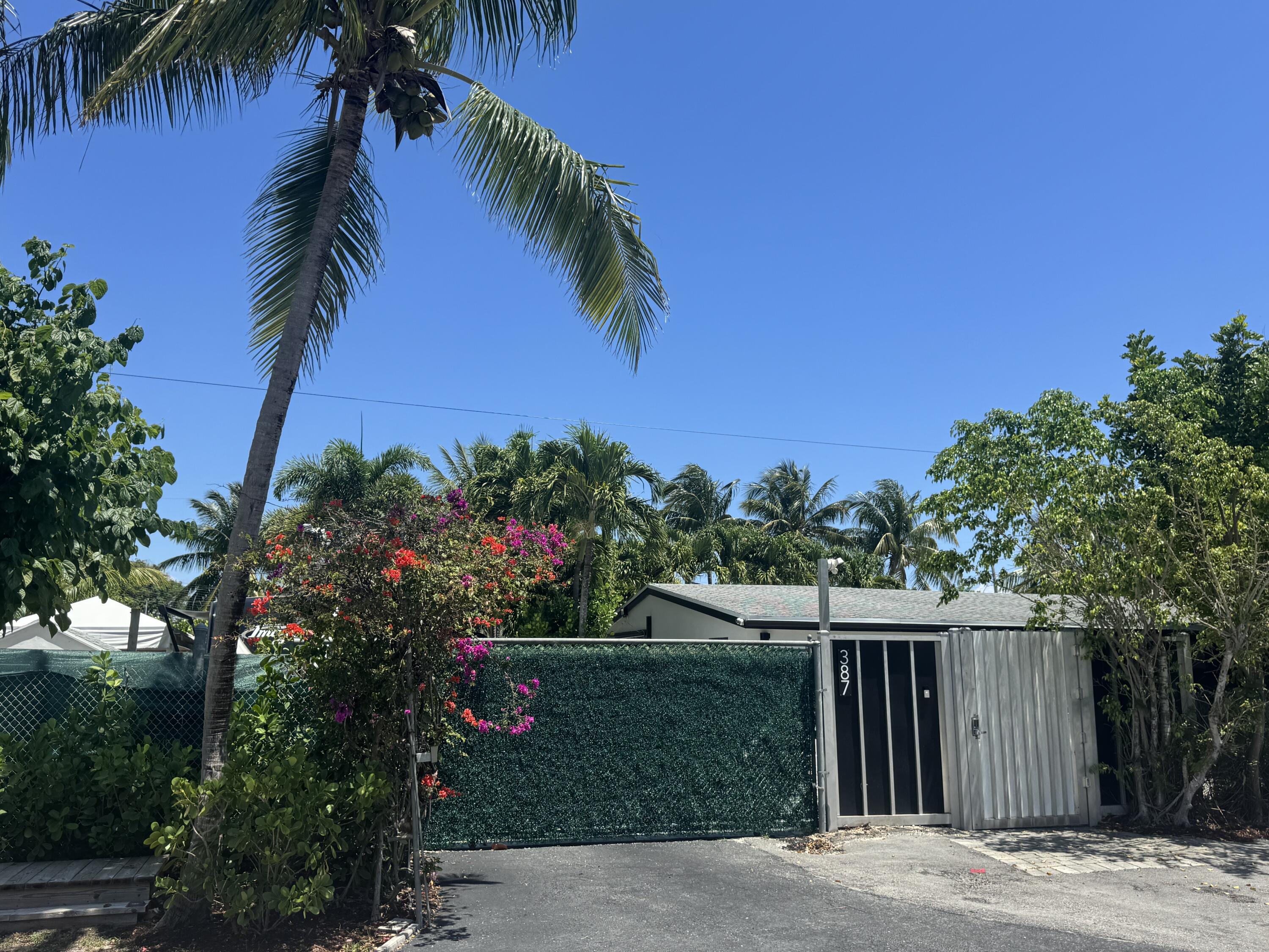 a view of a backyard with palm trees