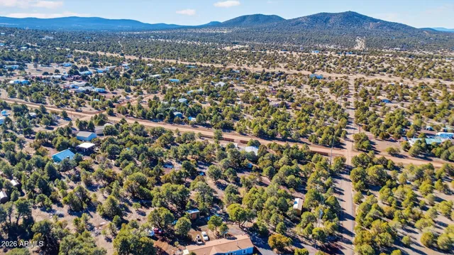 a view of a house with a yard and a large tree