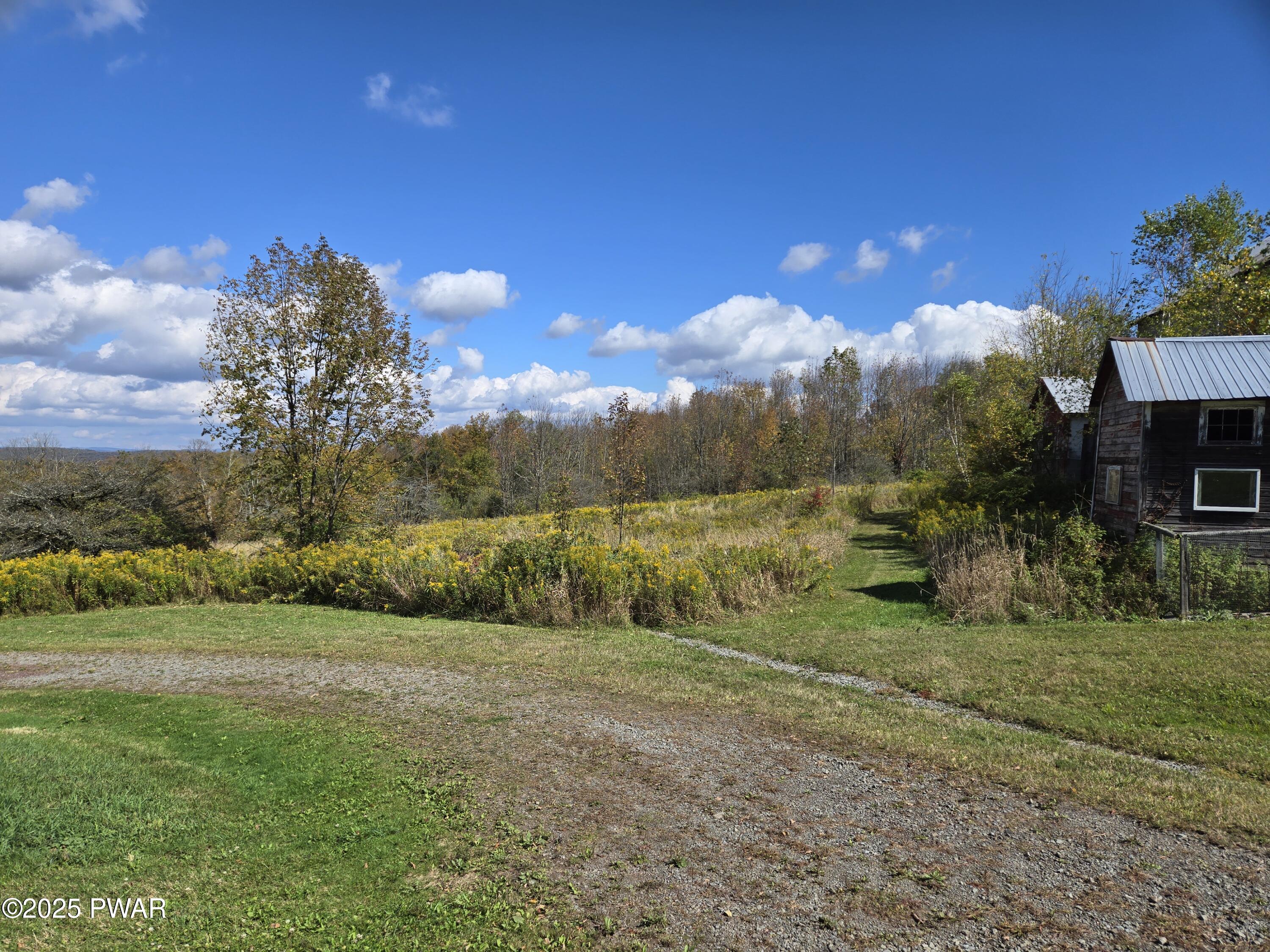 112 Leonard Road Pleasant Mount, PA 18453 - Photo 25 of 47 FIELD