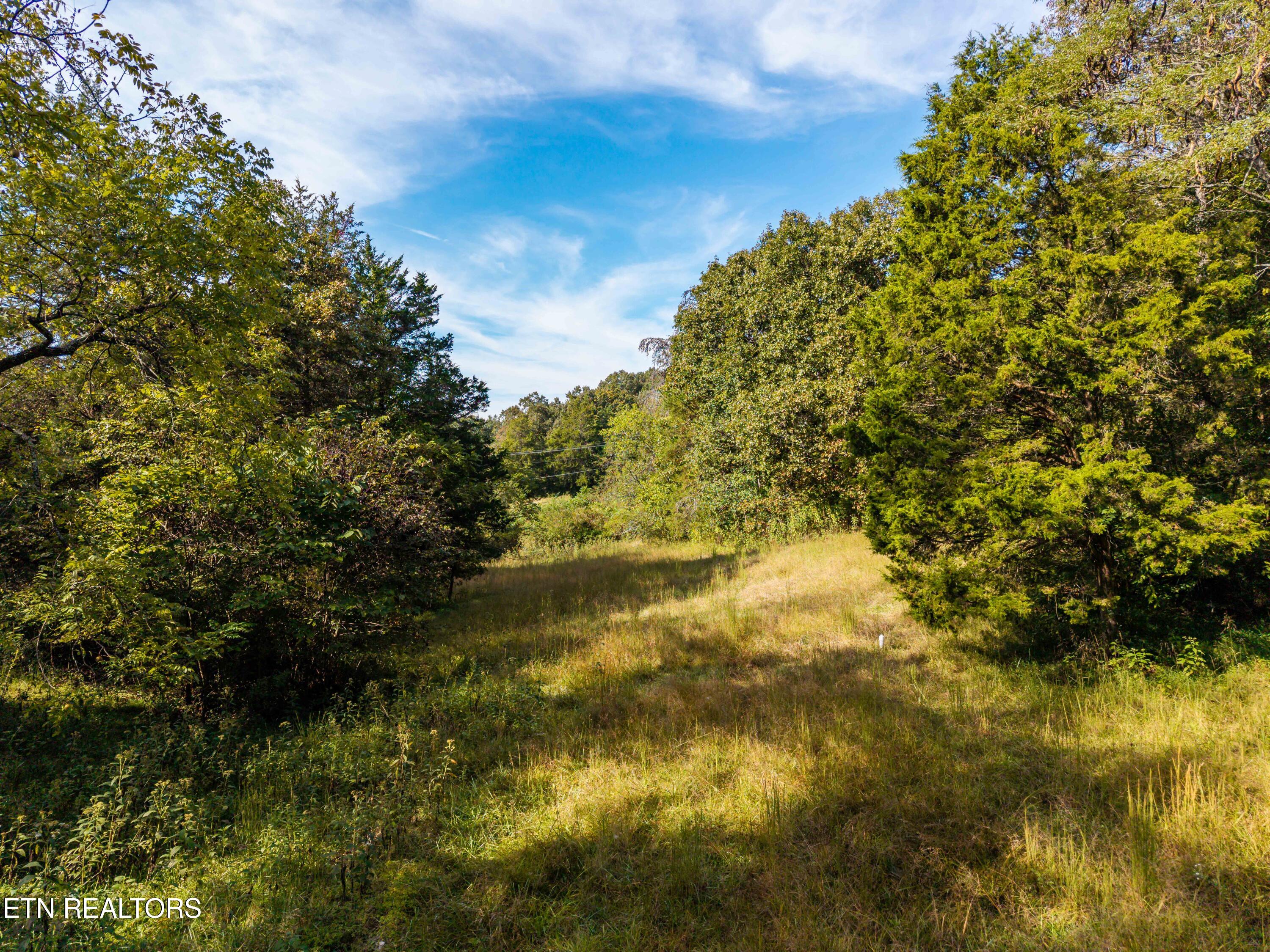 1735 McCarty Road Knoxville, TN 37914 - Photo 26 of 34 1735McCartyRd-45