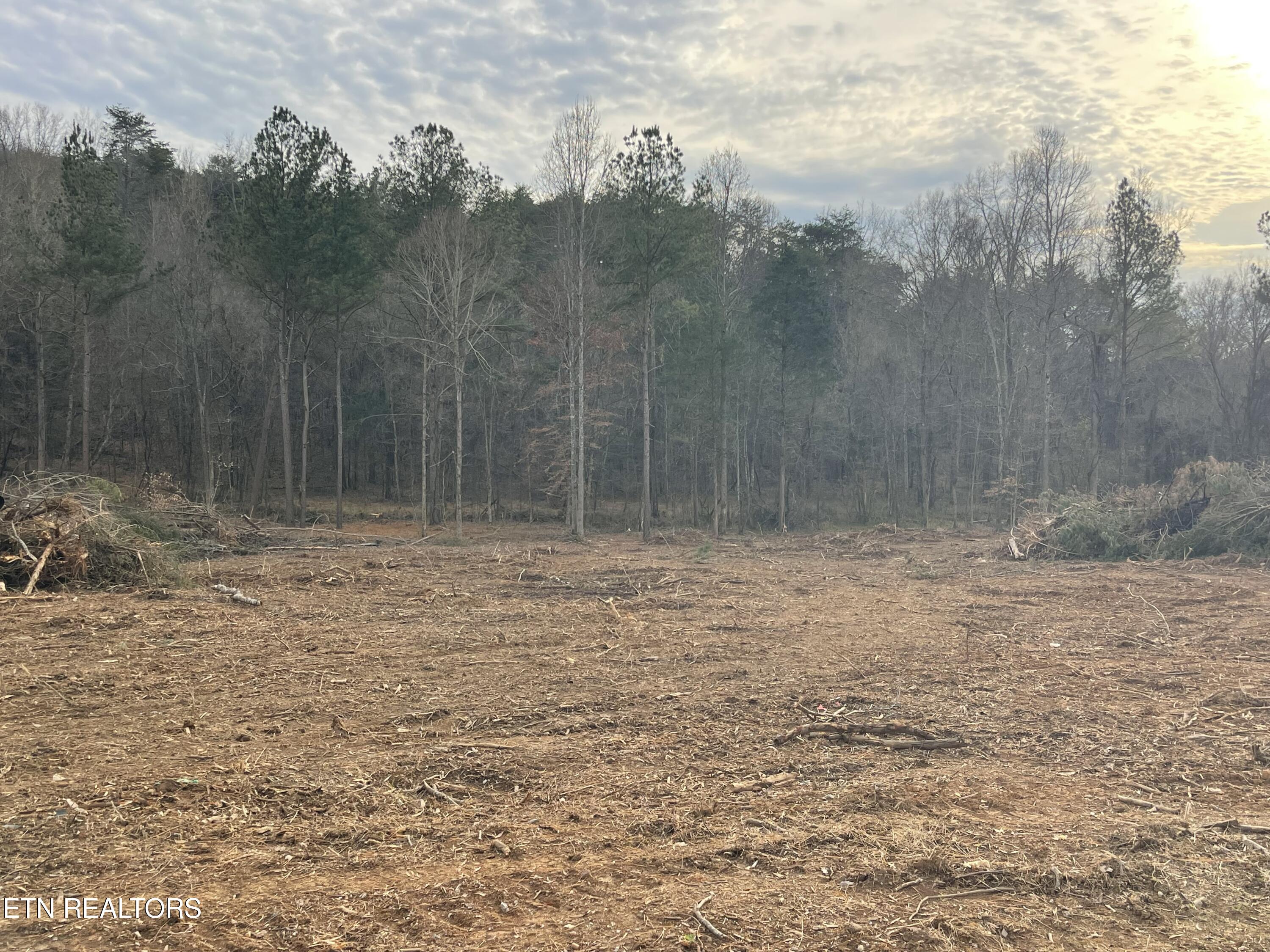 84 Robbies Lane Decatur, TN 37322 - Photo 1 of 1 IMG_1649