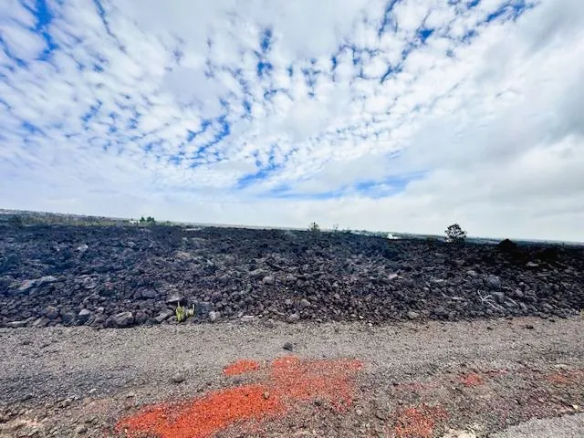 a view of a dry yard with wooden fence