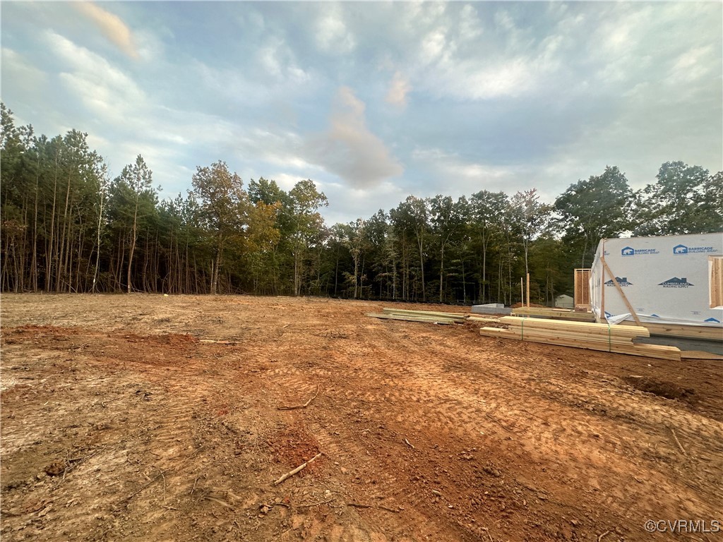 3974 Byrd Mill Road Louisa, VA 23093 - Photo 3 of 31 Gallery Image 3
