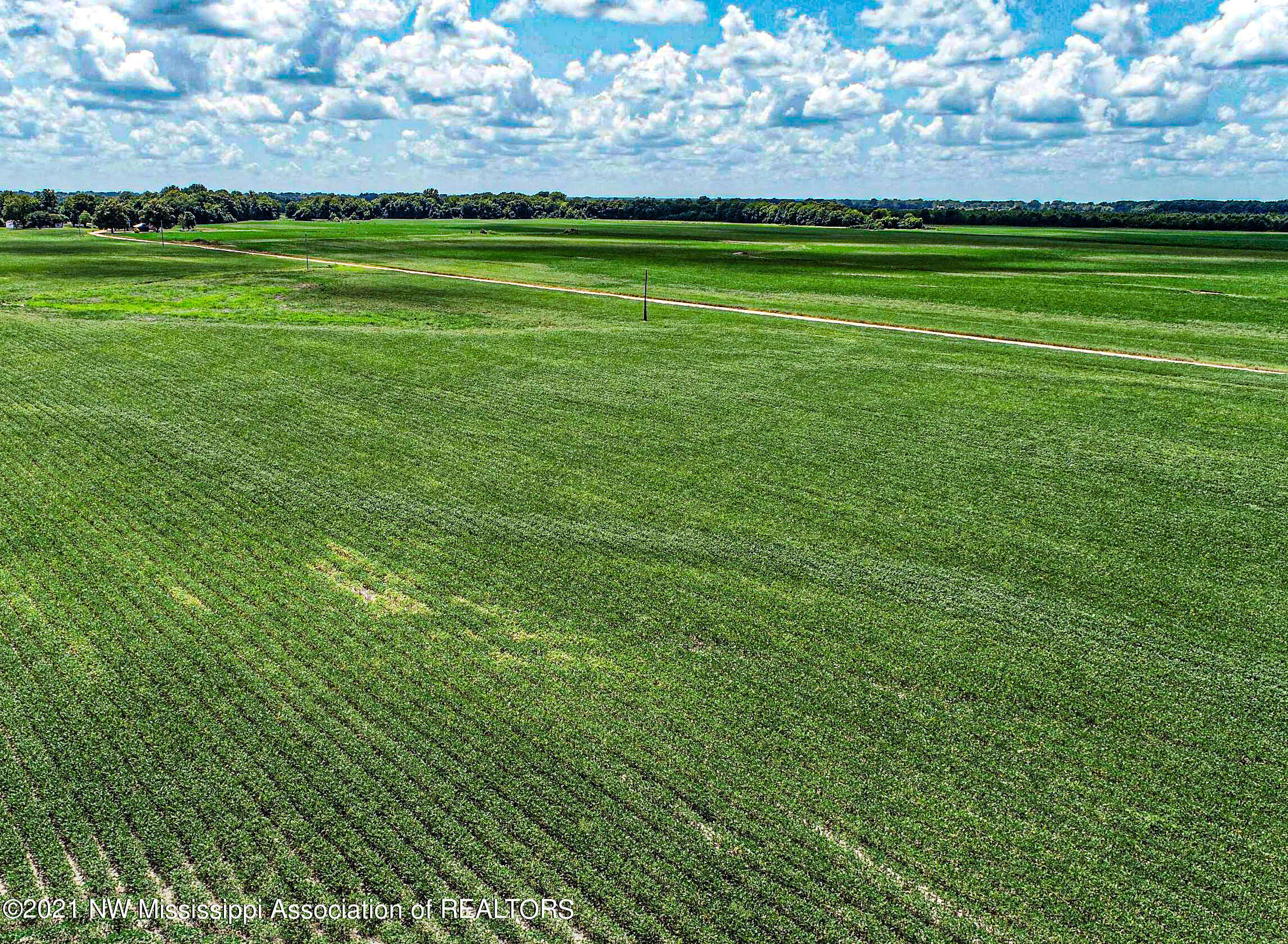 3333 Bailey Road Lambert, MS 38643 - Photo 15 of 31 50mrck14