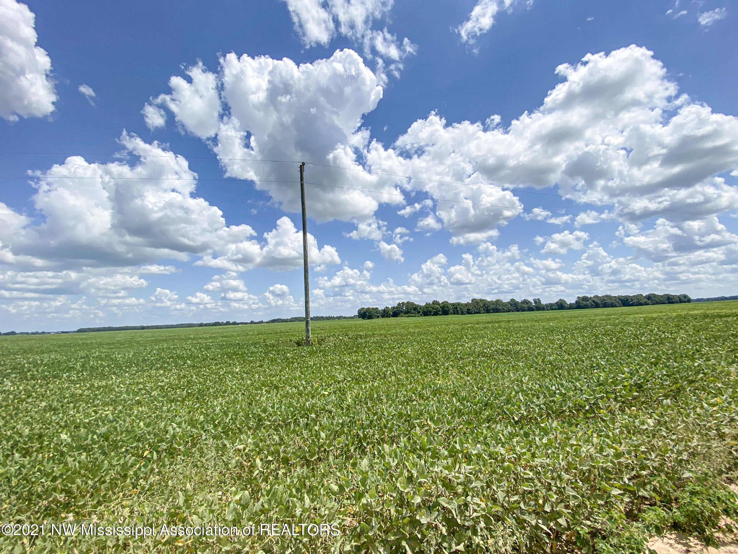 3333 Bailey Road Lambert, MS 38643 - Photo 23 of 31 70mrck19
