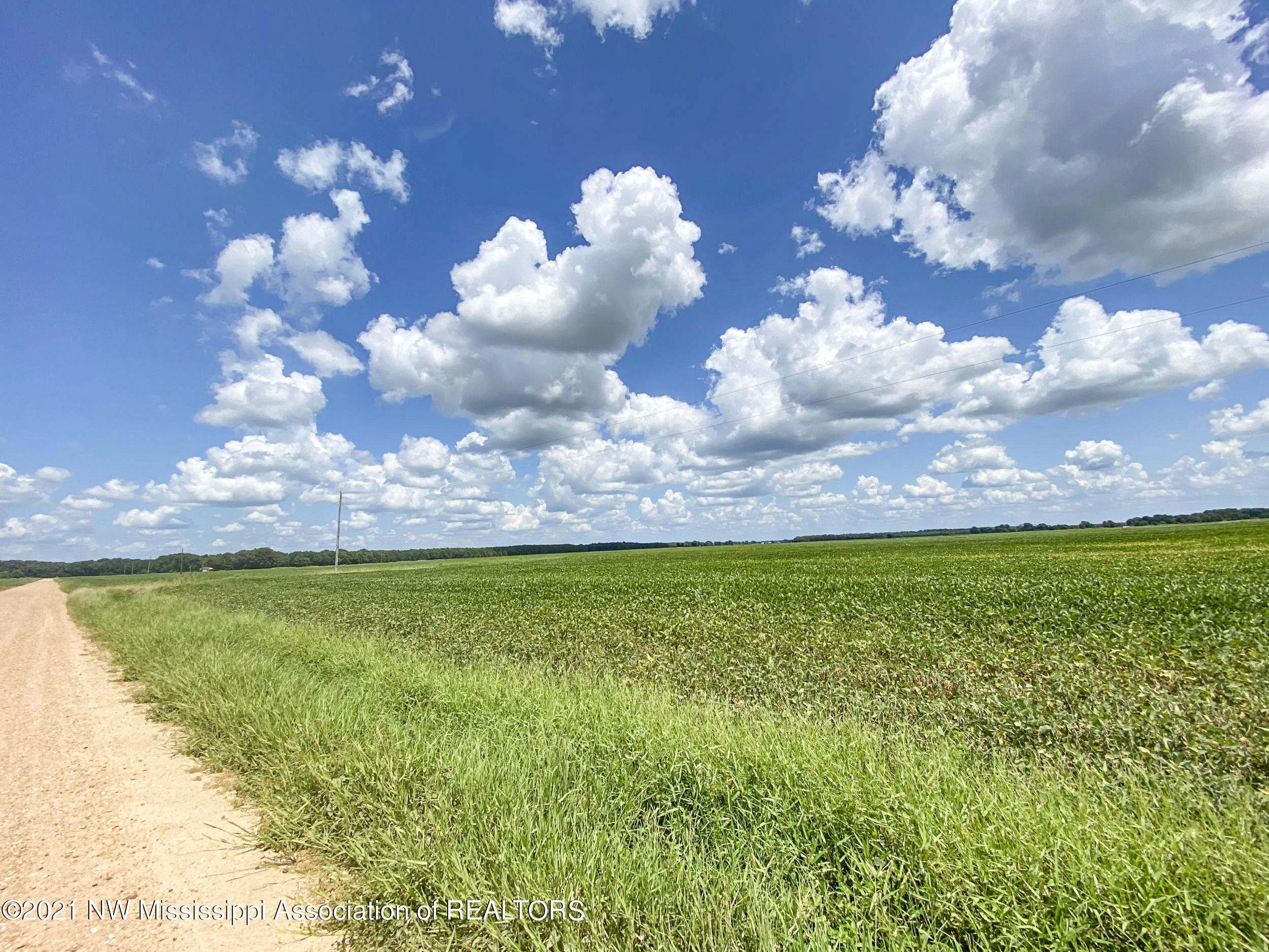3333 Bailey Road Lambert, MS 38643 - Photo 31 of 31 70mrck26