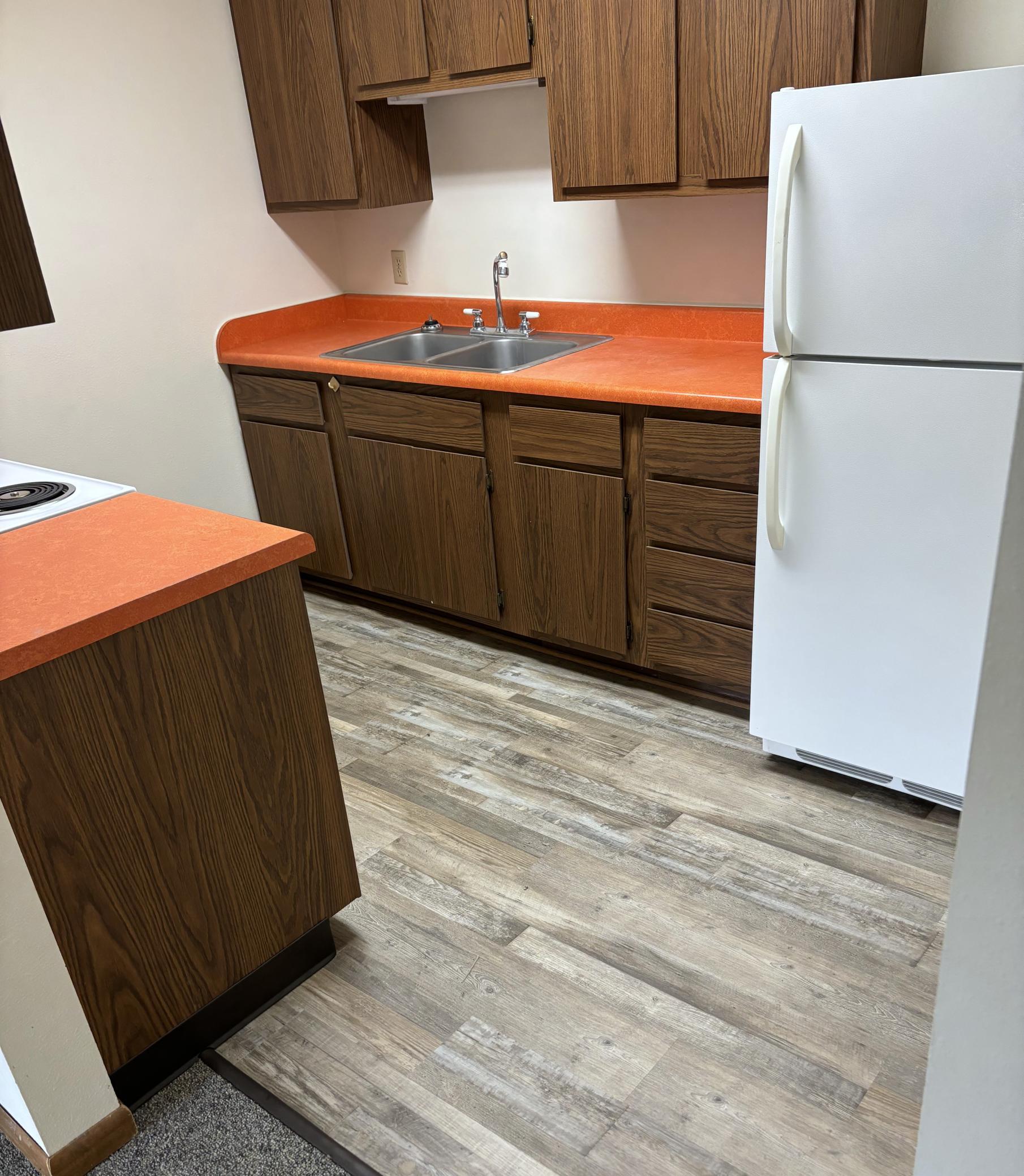 102 Madison Avenue North, Unit 7 Battle Lake, MN 56515 - Photo 2 of 10