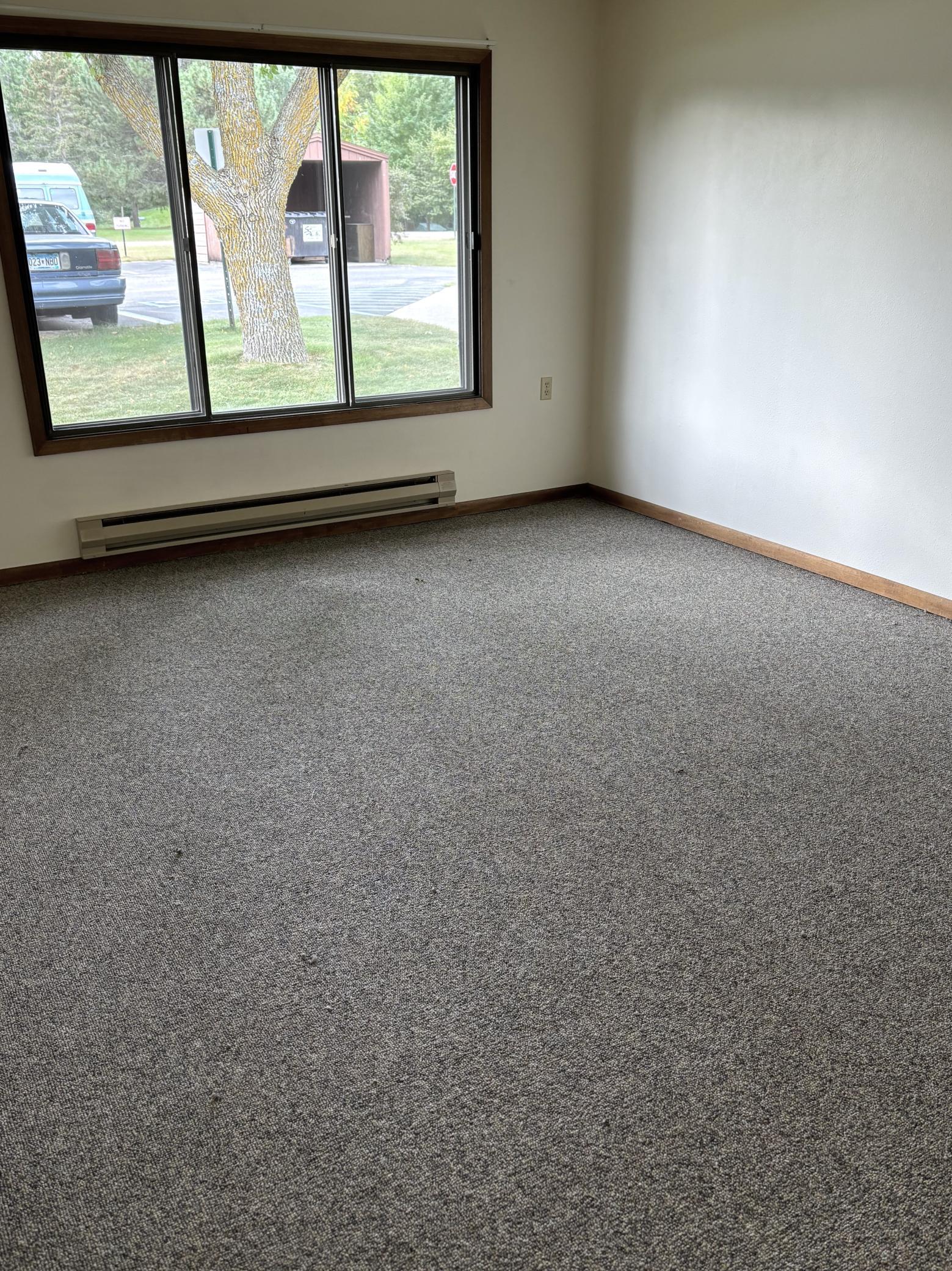 102 Madison Avenue North, Unit 7 Battle Lake, MN 56515 - Photo 3 of 10