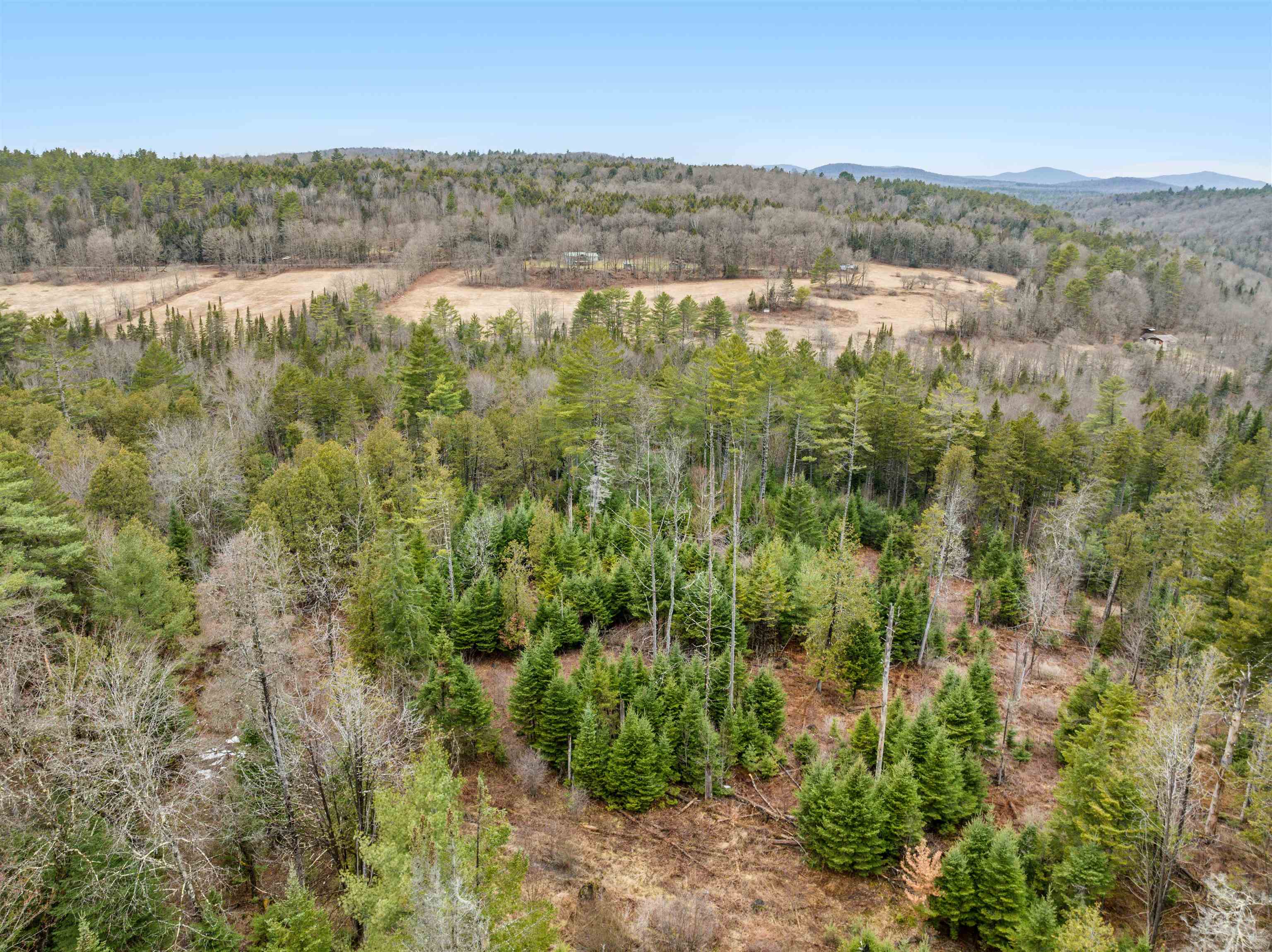 0 George Road Plainfield, VT 05667 - Photo 12 of 27