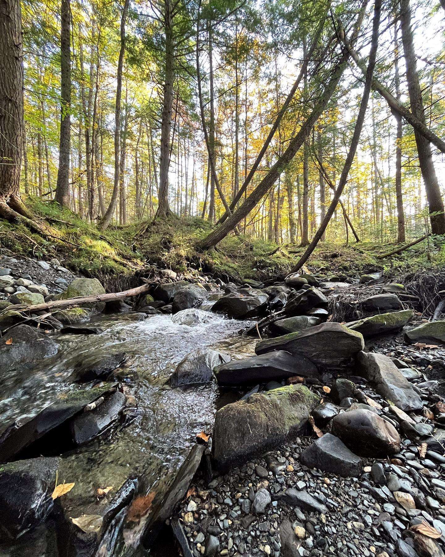 0 George Road Plainfield, VT 05667 - Photo 25 of 27