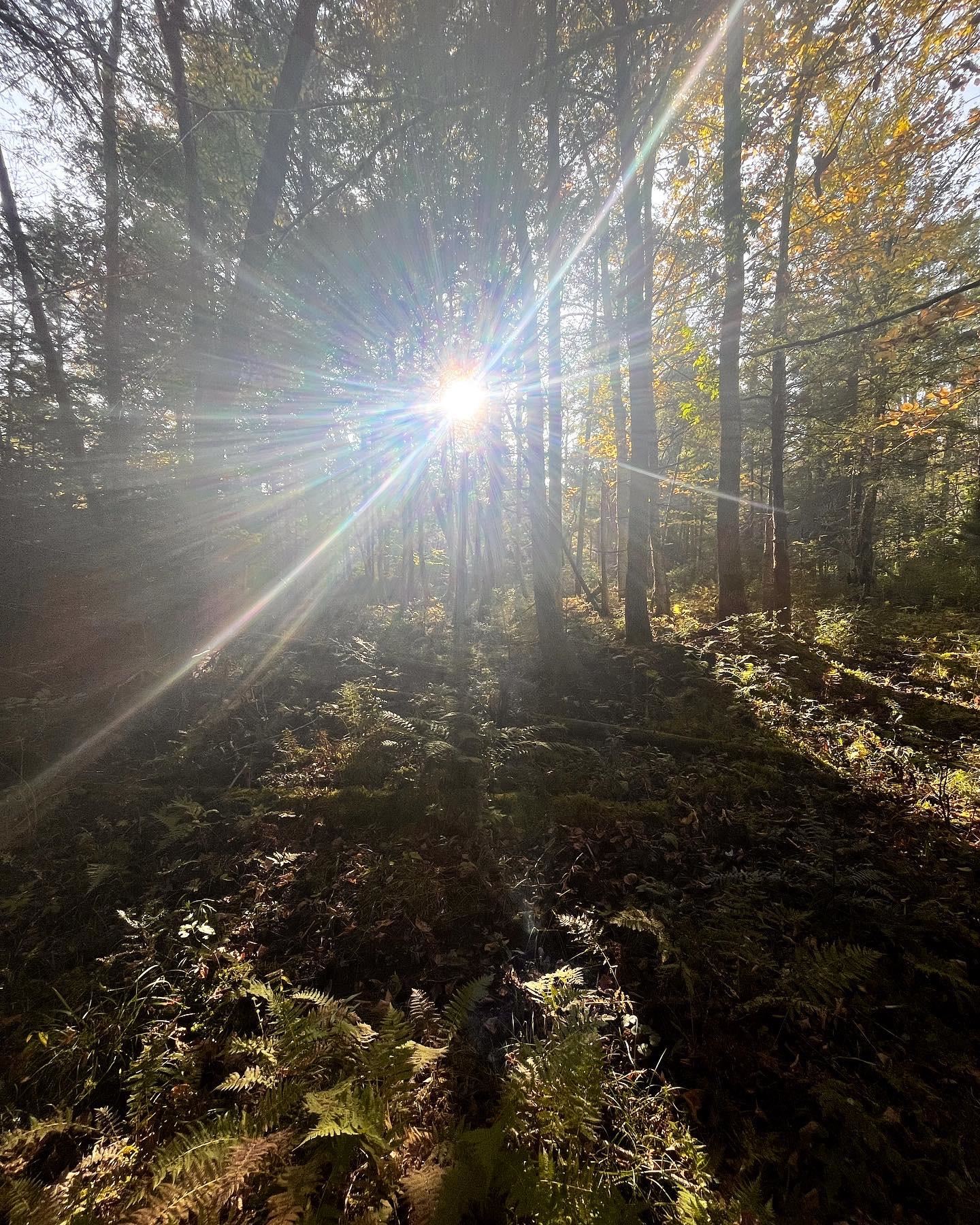 0 George Road Plainfield, VT 05667 - Photo 26 of 27