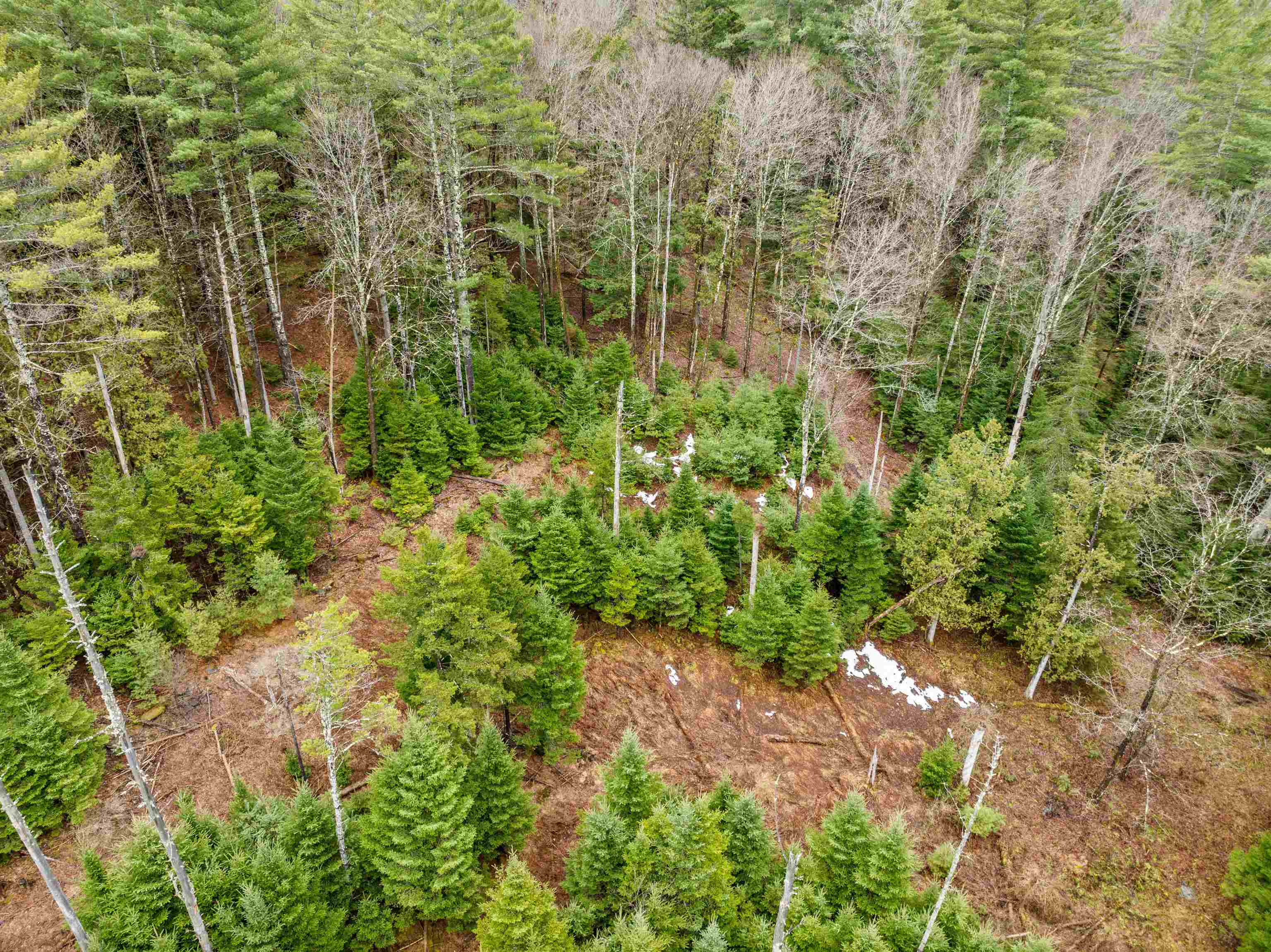 0 George Road Plainfield, VT 05667 - Photo 5 of 27