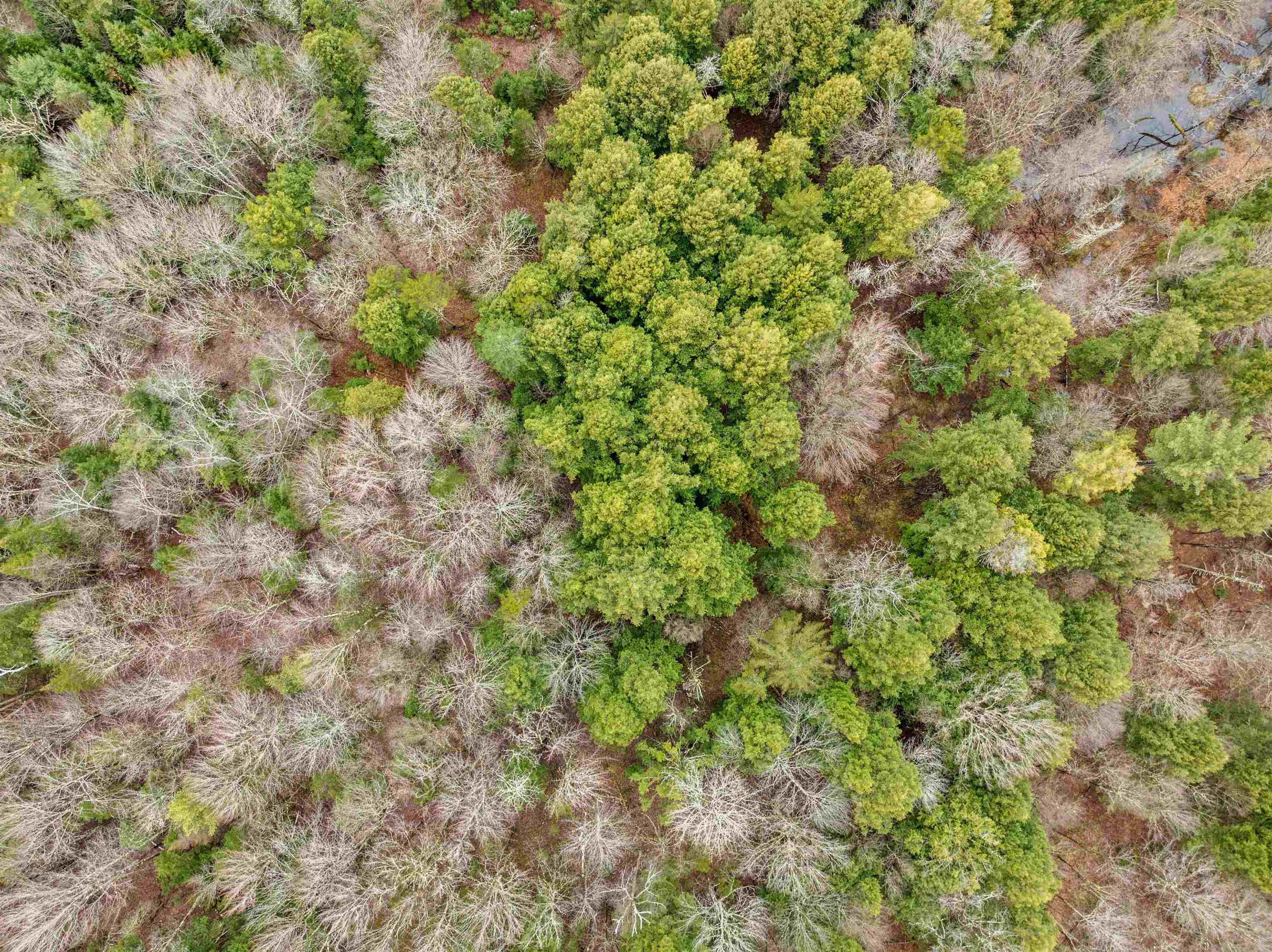 0 George Road Plainfield, VT 05667 - Photo 10 of 27