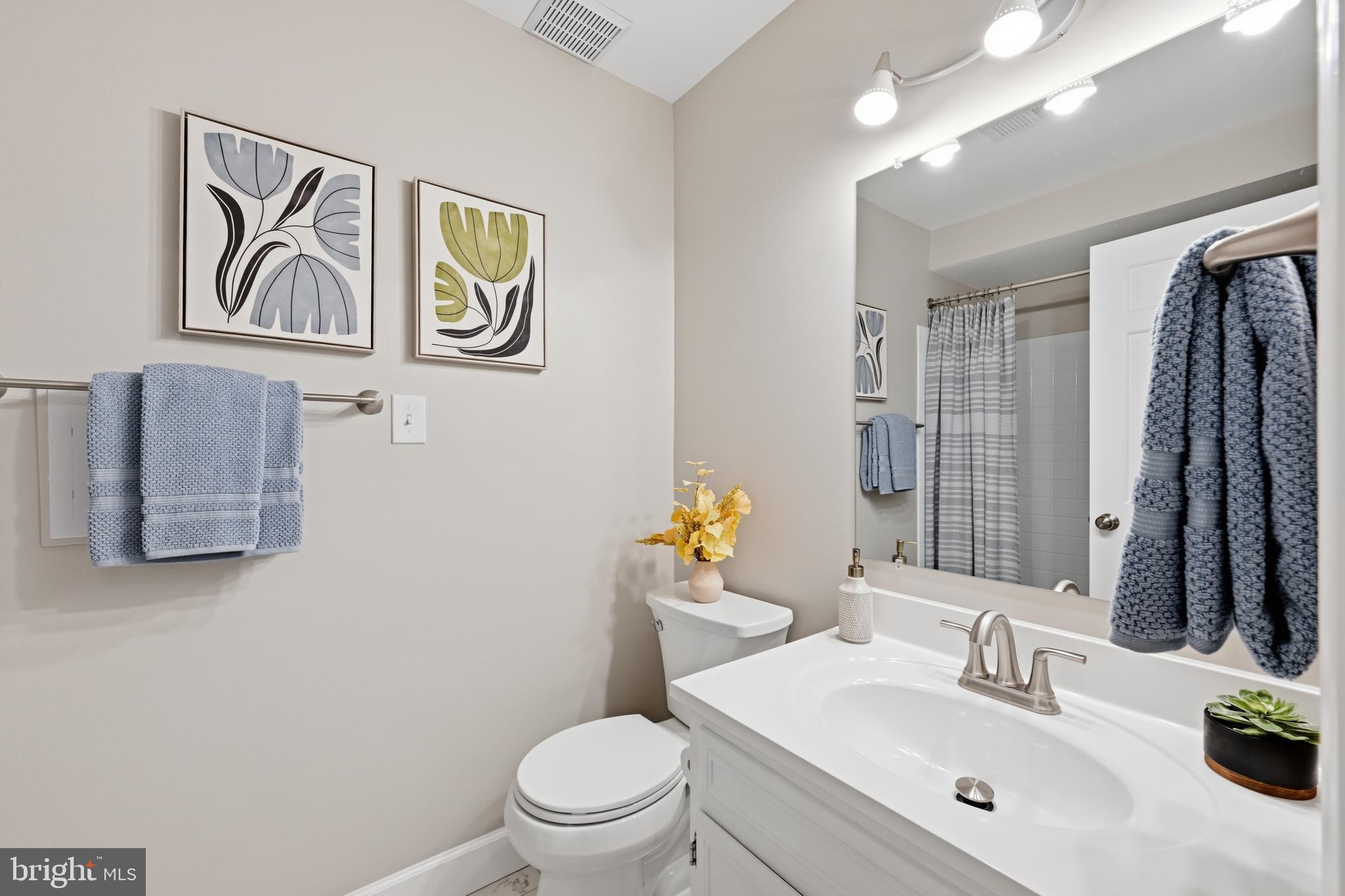 2311 North Glebe Road Arlington, VA 22207 - Photo 24 of 33 LL bath