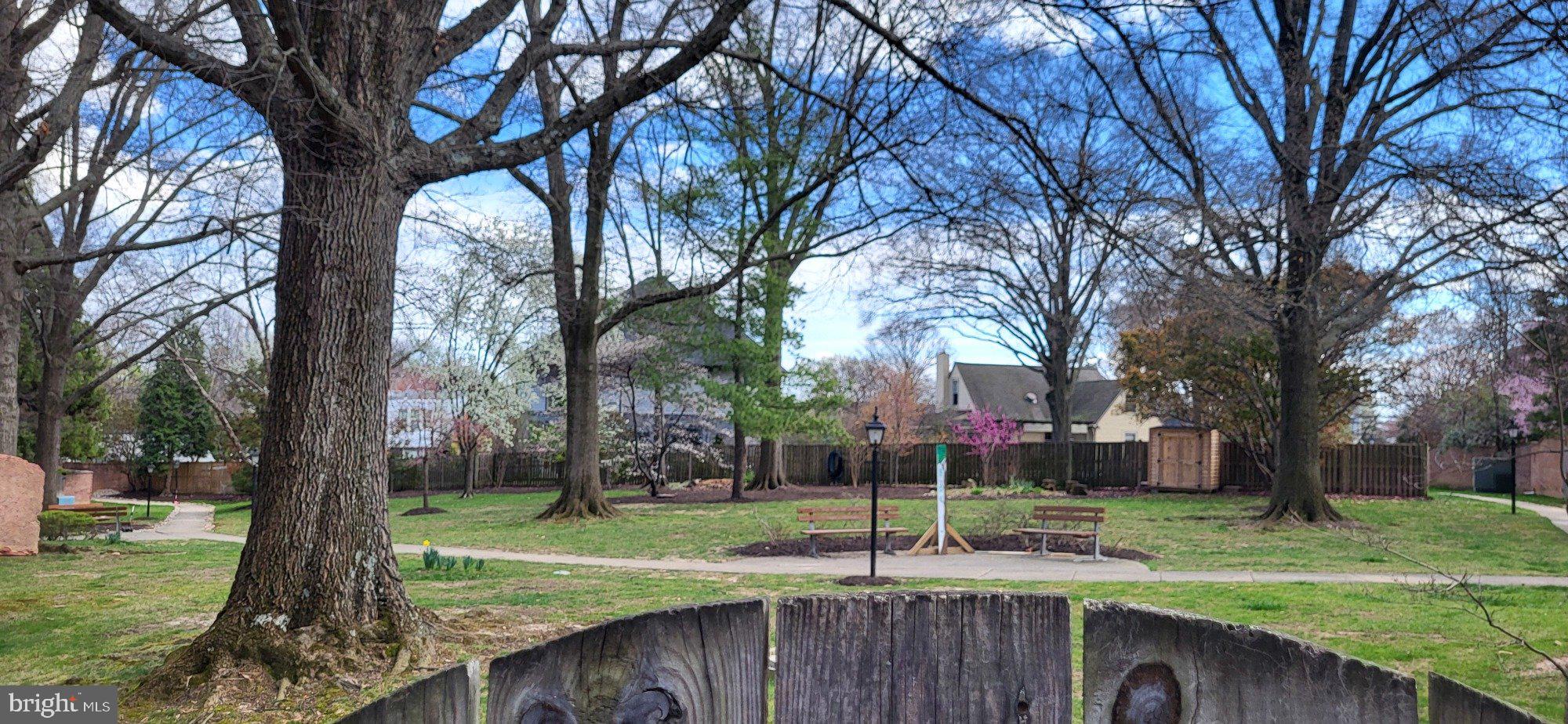 2311 North Glebe Road Arlington, VA 22207 - Photo 30 of 33 Gorgeous private garden area out back!