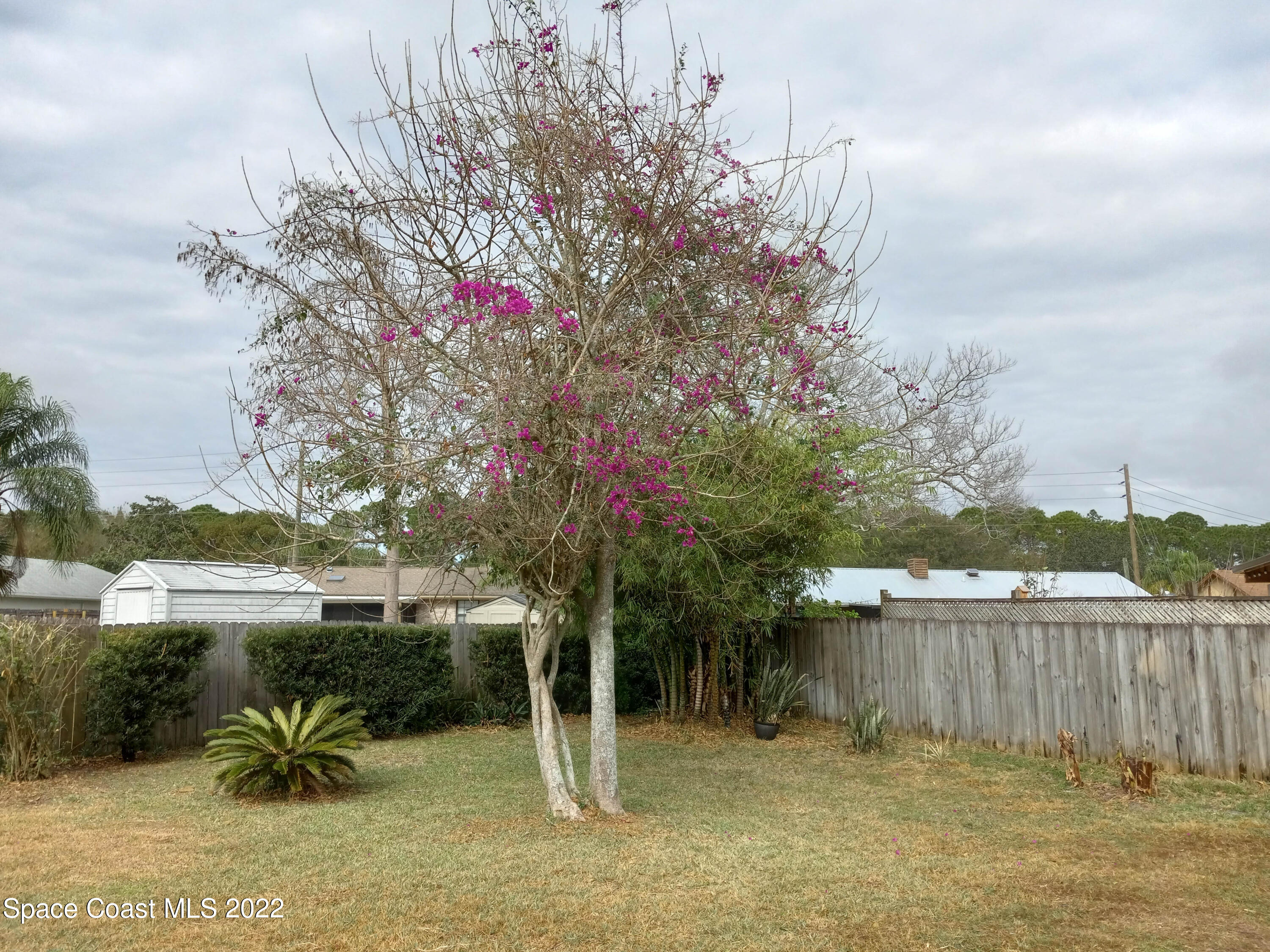 5166 Arlington Road Cocoa, FL 32927 - Photo 22 of 25 a view of a garden