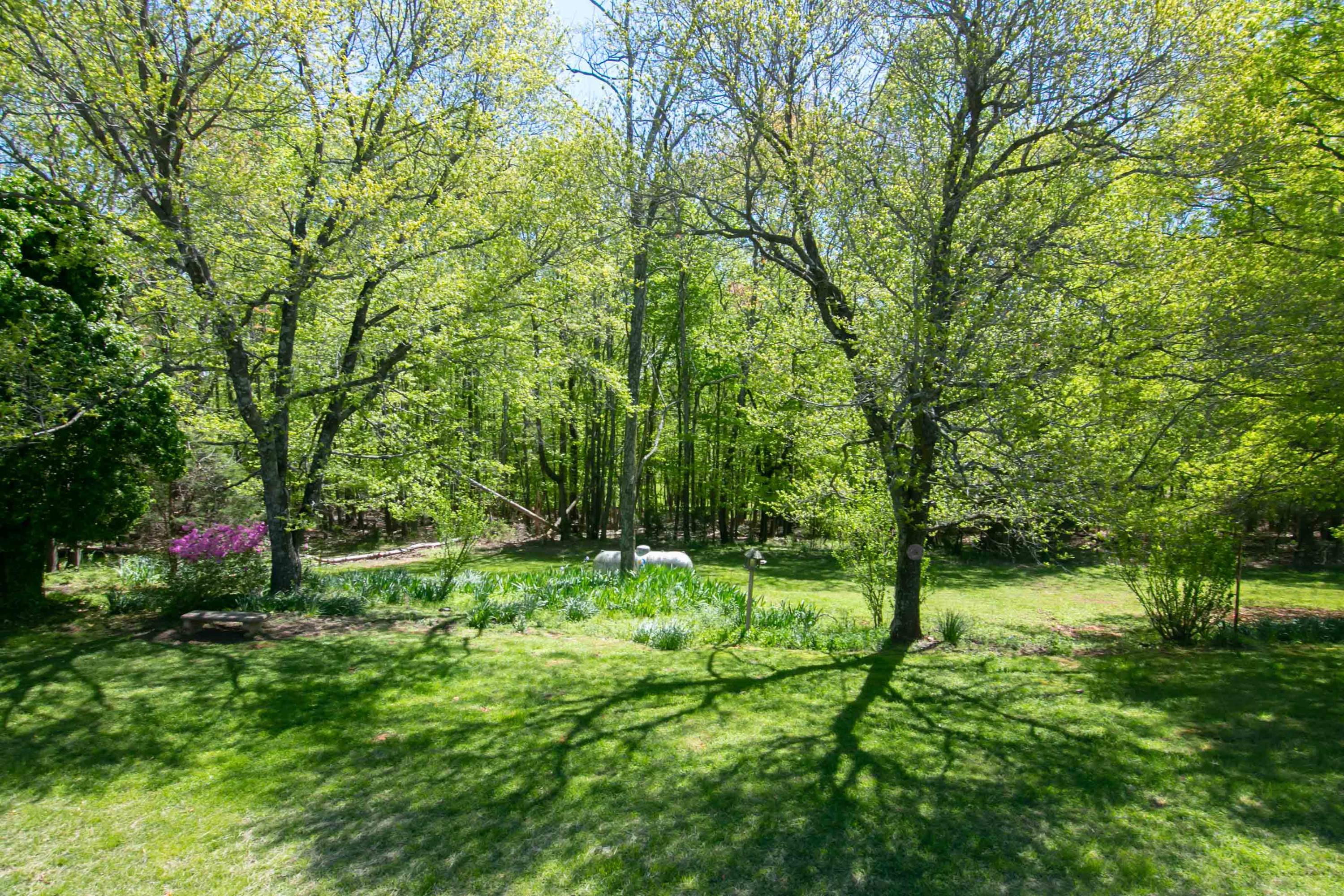 3256 Sago Road Callands, VA 24530 - Photo 48 of 59 a backyard of a house with lots of green space