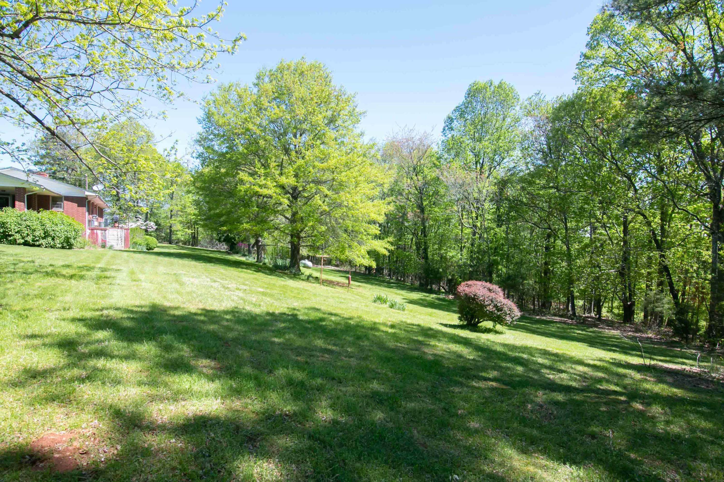 3256 Sago Road Callands, VA 24530 - Photo 49 of 59 a view of a field with a tree