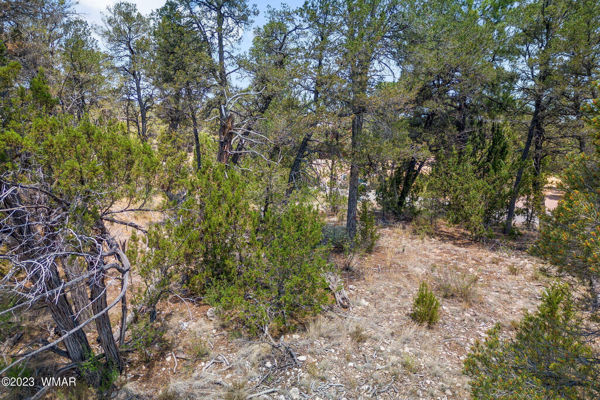 3127 Ranch Road Overgaard, AZ 85933 - Photo 3 of 7 Gallery Image 3