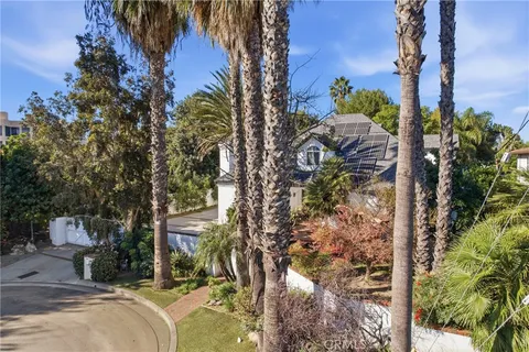 a view of a park with plants and trees