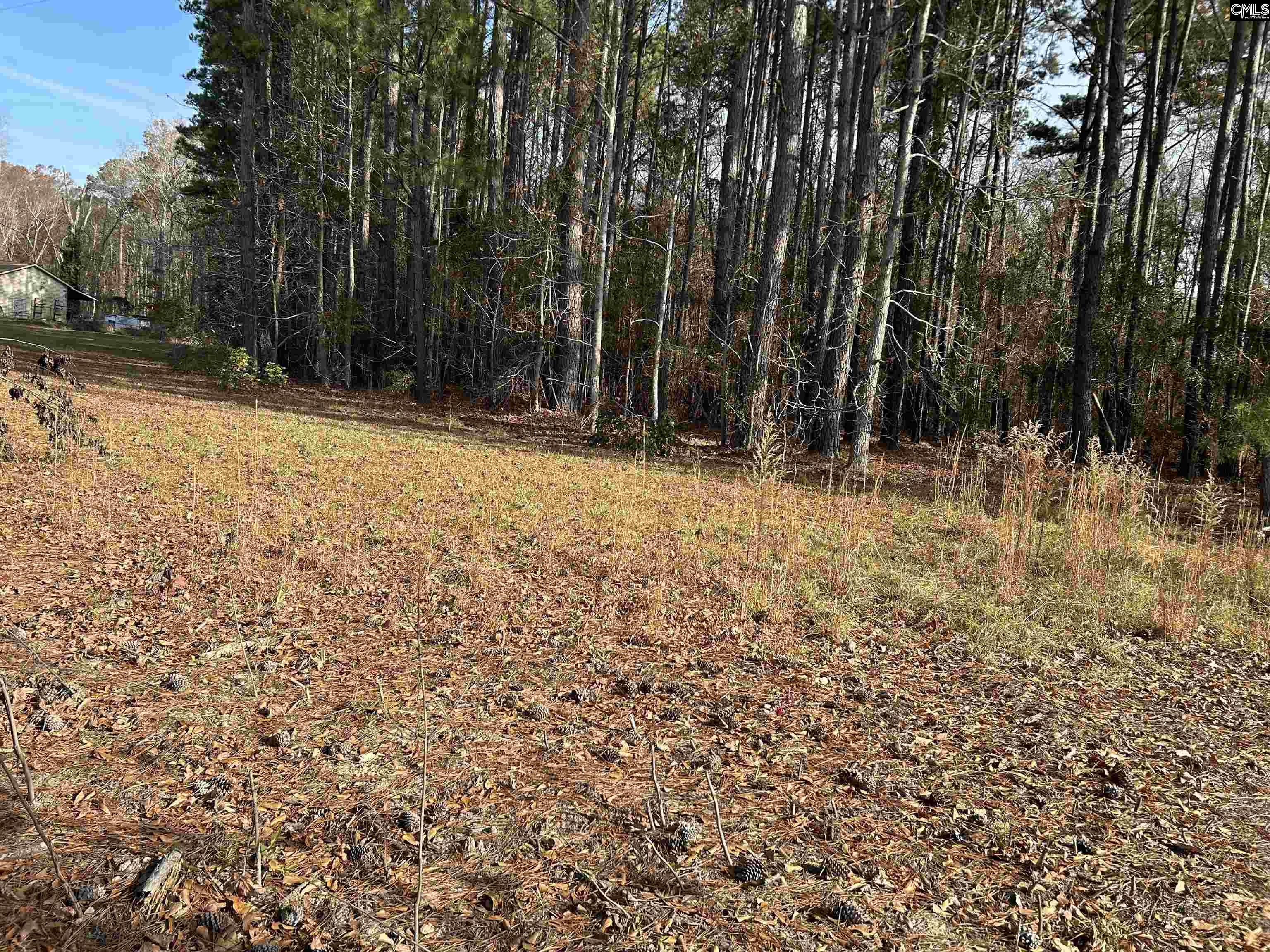 440 Paschal Road Elgin, SC 29045 - Photo 11 of 23