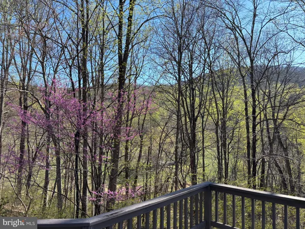 $995,000 | 815 Gid Brown Hollow Road, Washington, VA 22747