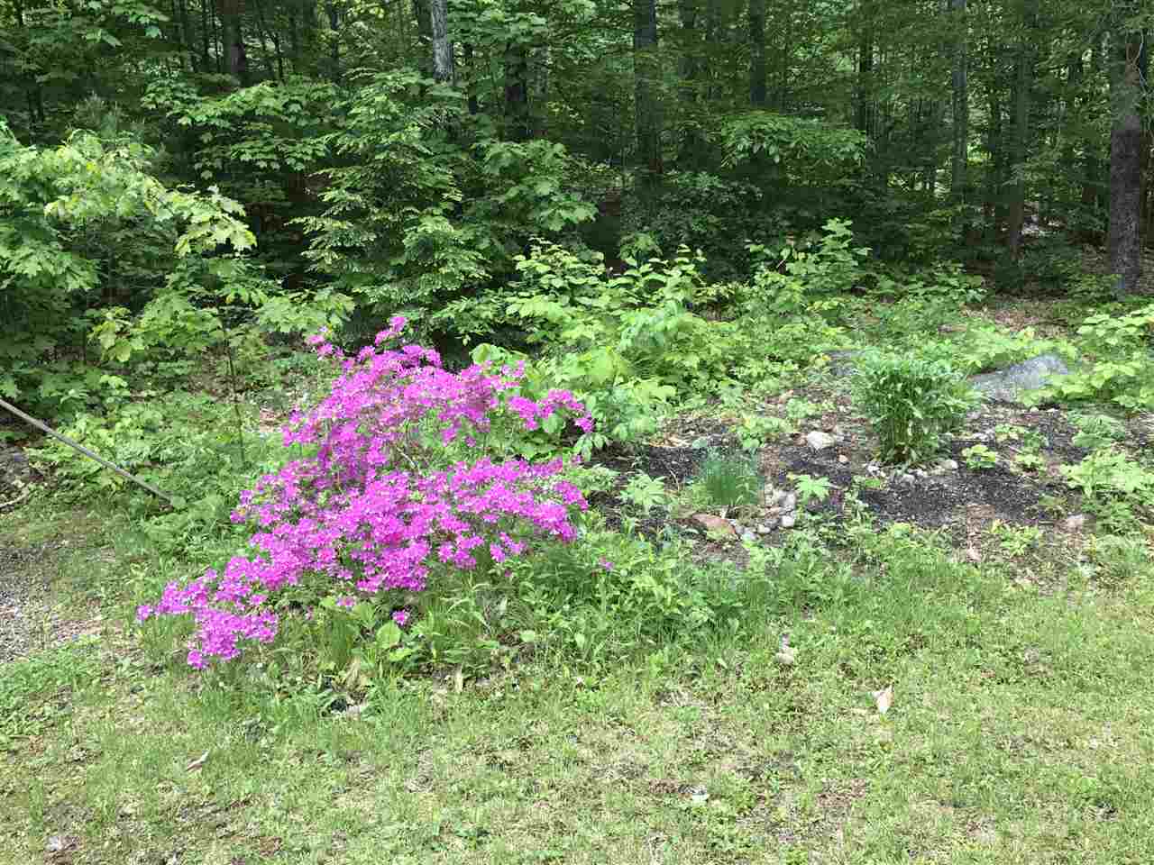 70 Ossipee Mountain Road Ossipee, NH 03814 - Photo 38 of 39