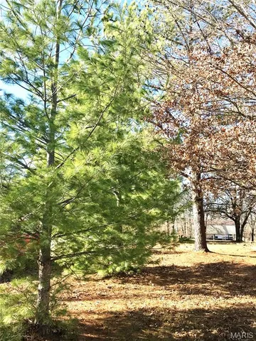 $198,500 | 14275 Camden Lane, Dixon, MO 65459