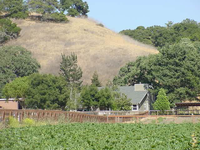 1250 Alamo Pintado Road Solvang, CA 93463 - Photo 3 of 3 Listing Photo