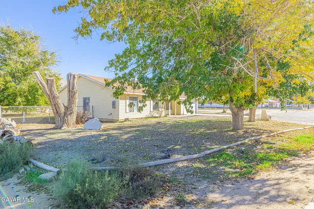 a view of a yard with plants and trees