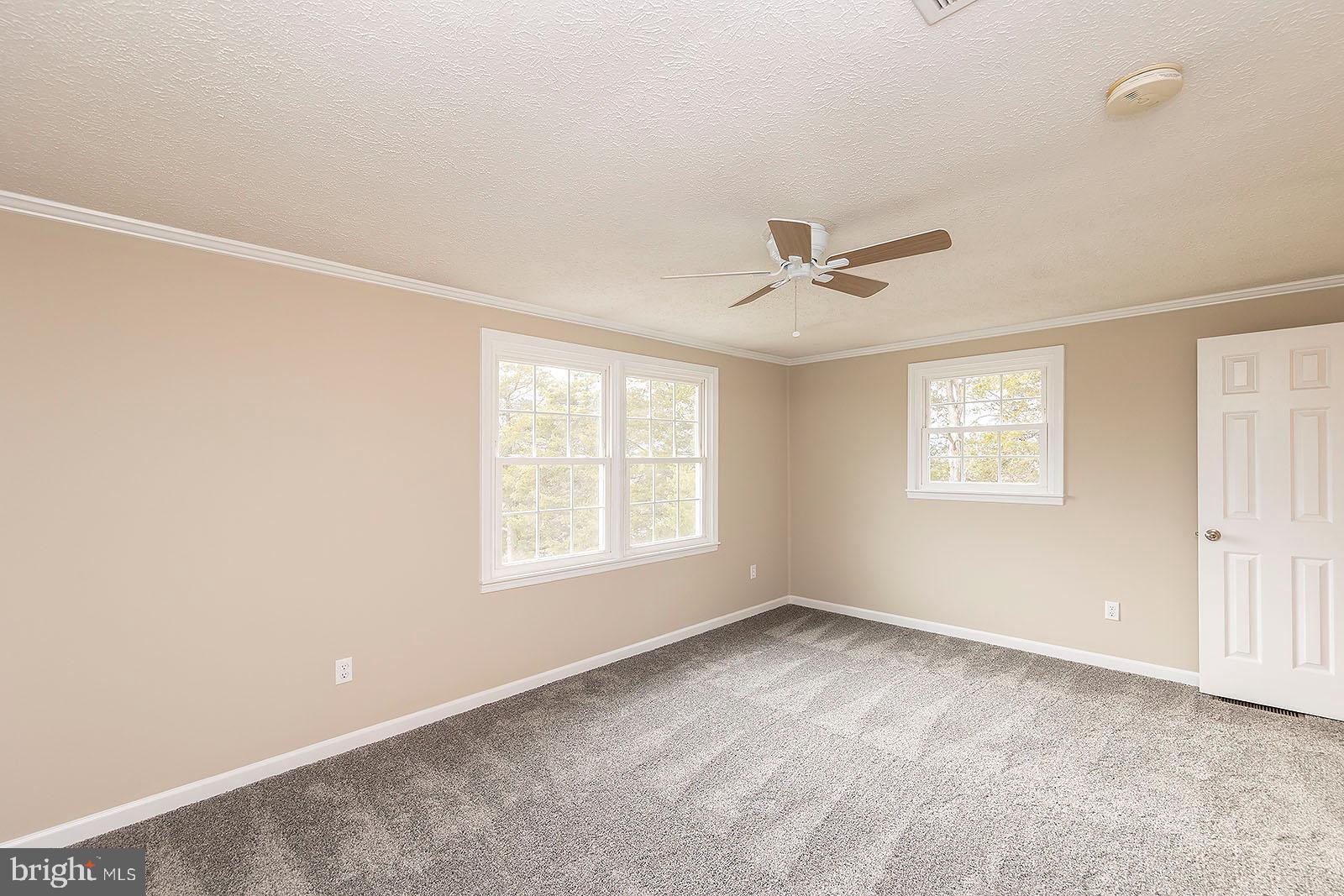 164 Lakes Valley Road Strasburg, VA 22657 - Photo 29 of 54