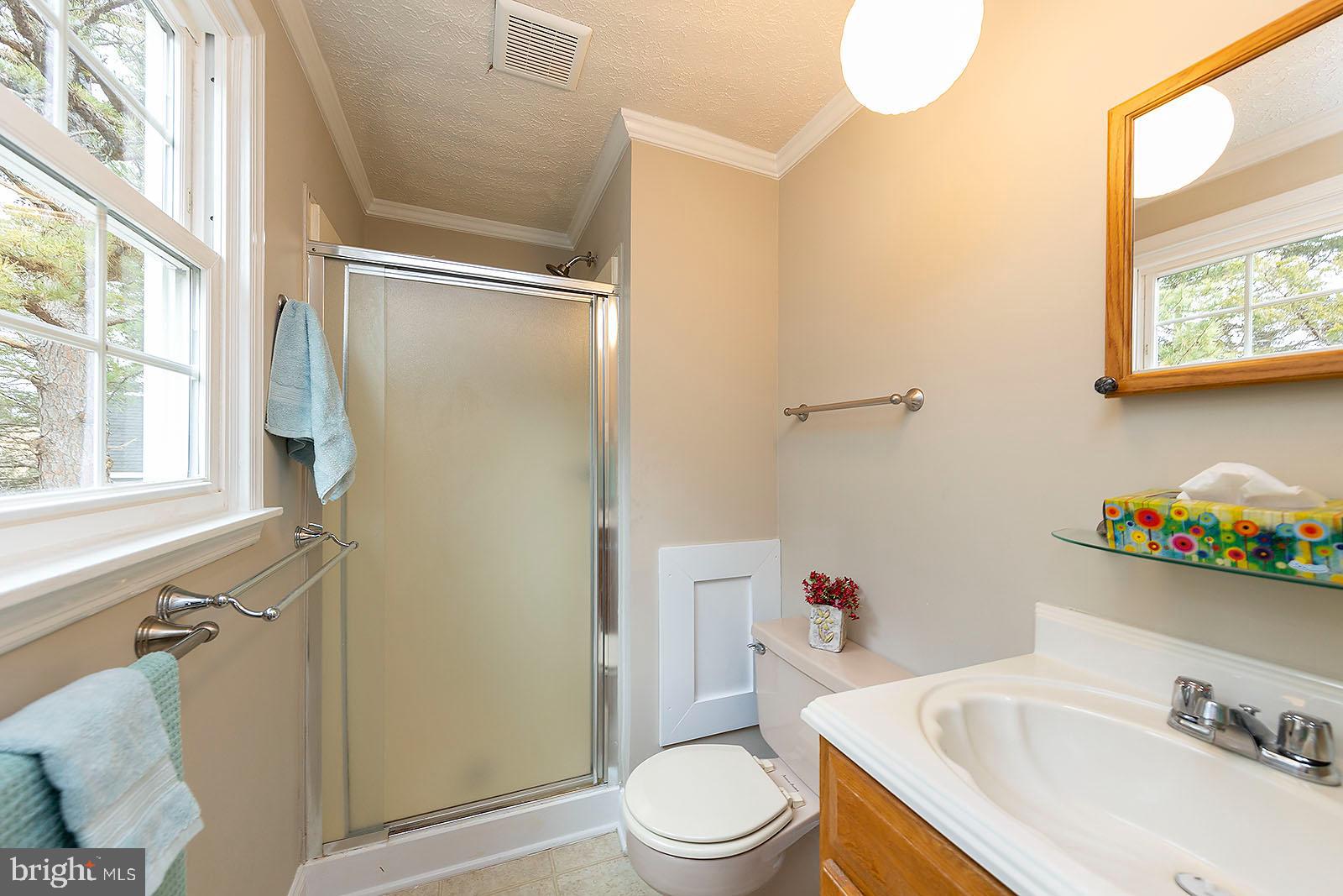 164 Lakes Valley Road Strasburg, VA 22657 - Photo 33 of 54