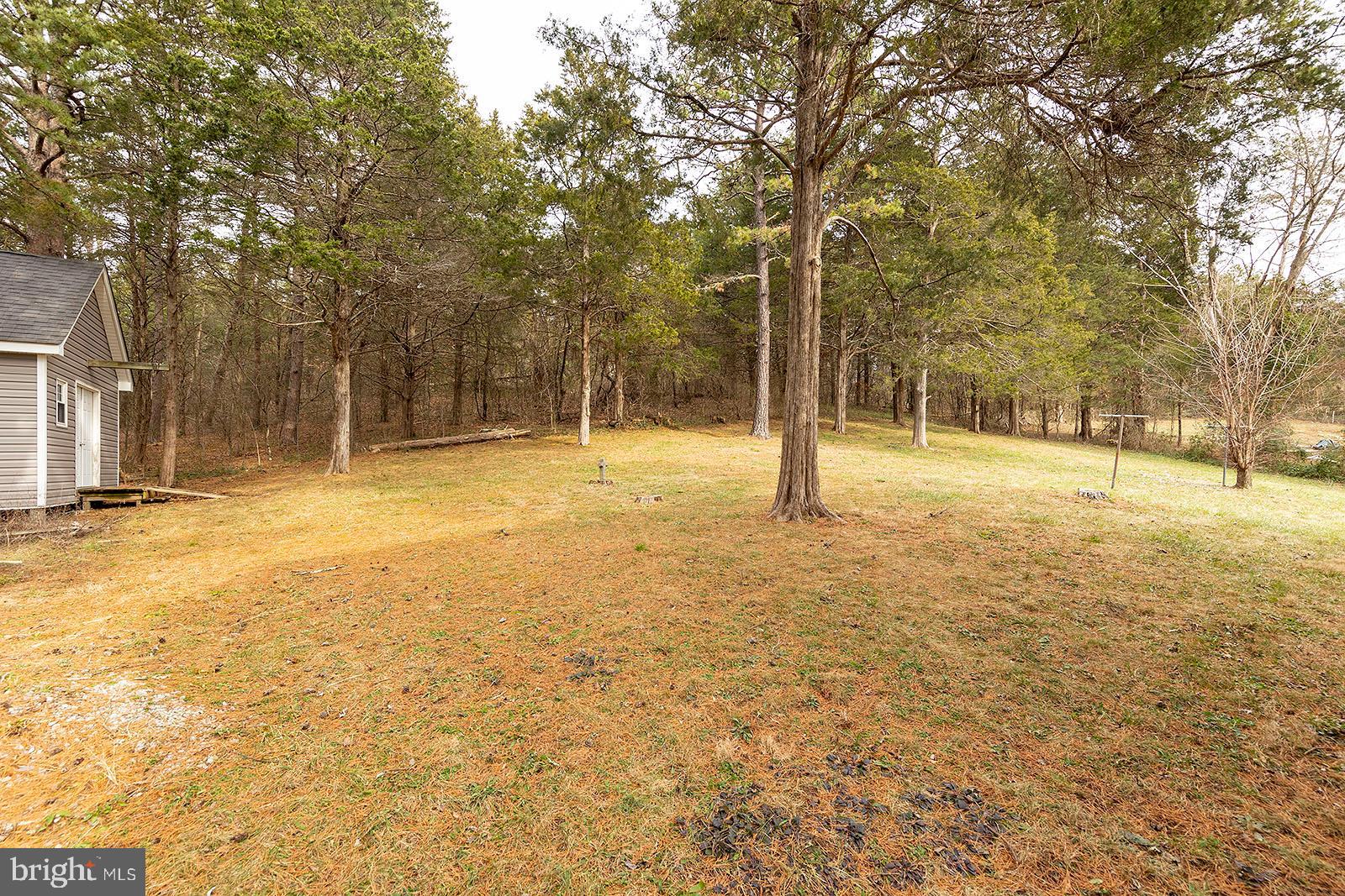 164 Lakes Valley Road Strasburg, VA 22657 - Photo 49 of 54