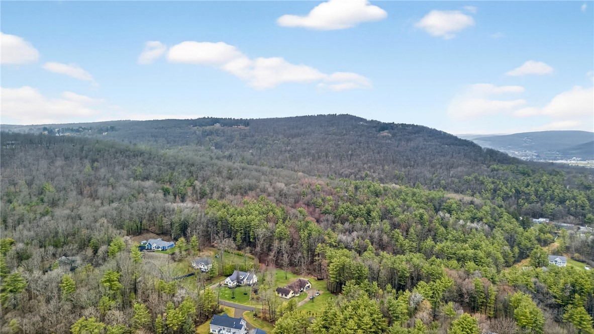 10887 Copp Hill Road Corning, NY 14830 - Photo 43 of 45