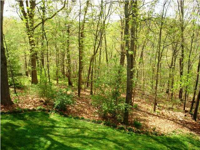 2028 Rock Bluff Road Hixson, TN 37343 - Photo 20 of 24 Additional Photo